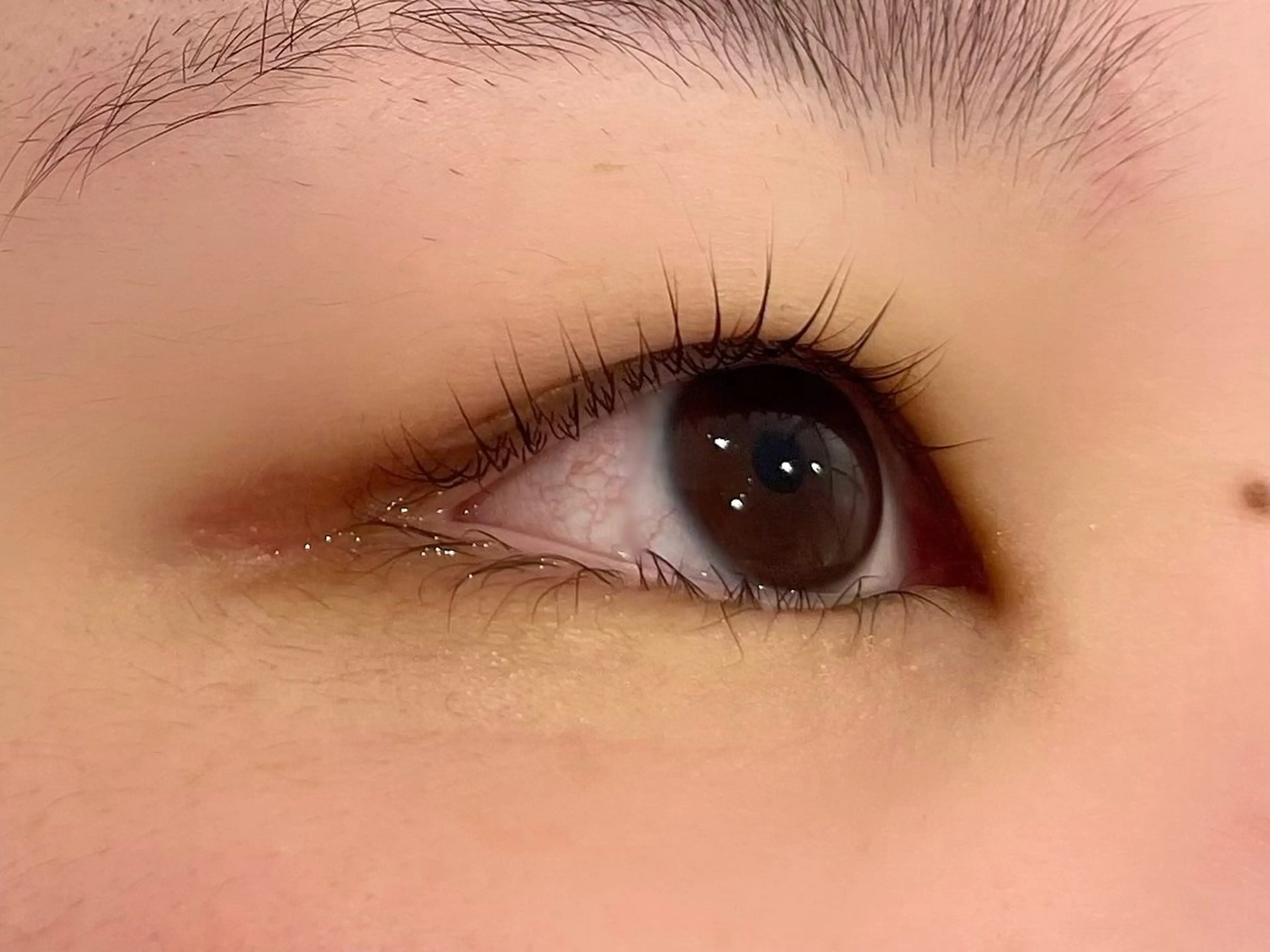 マツエク・マツパ マツパ epill Lenna .🦋のマツエク・マツパデザイン