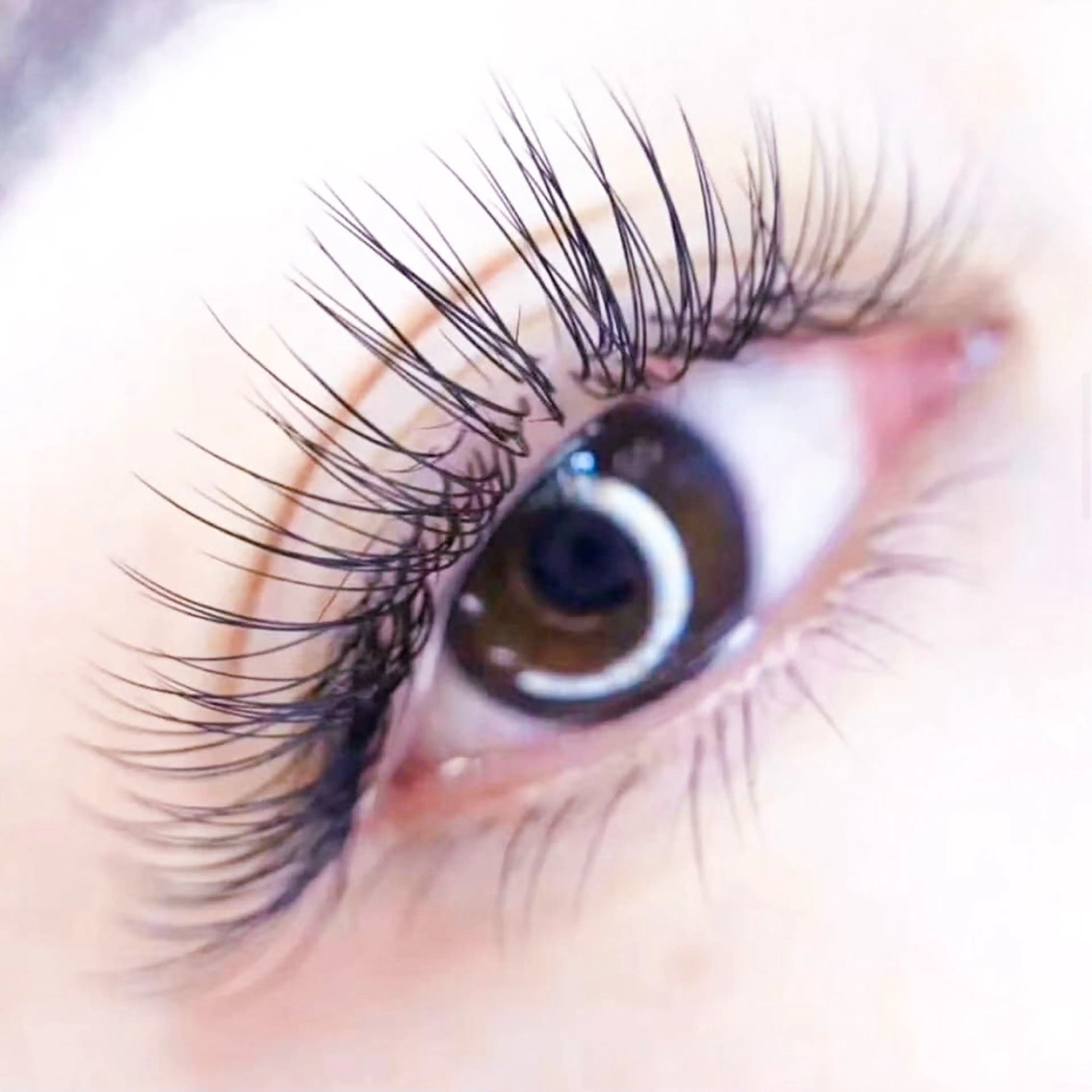 💞期間限定💞【✨持ち＆濃さ✨】パーフェクトラッシュ240本の写真