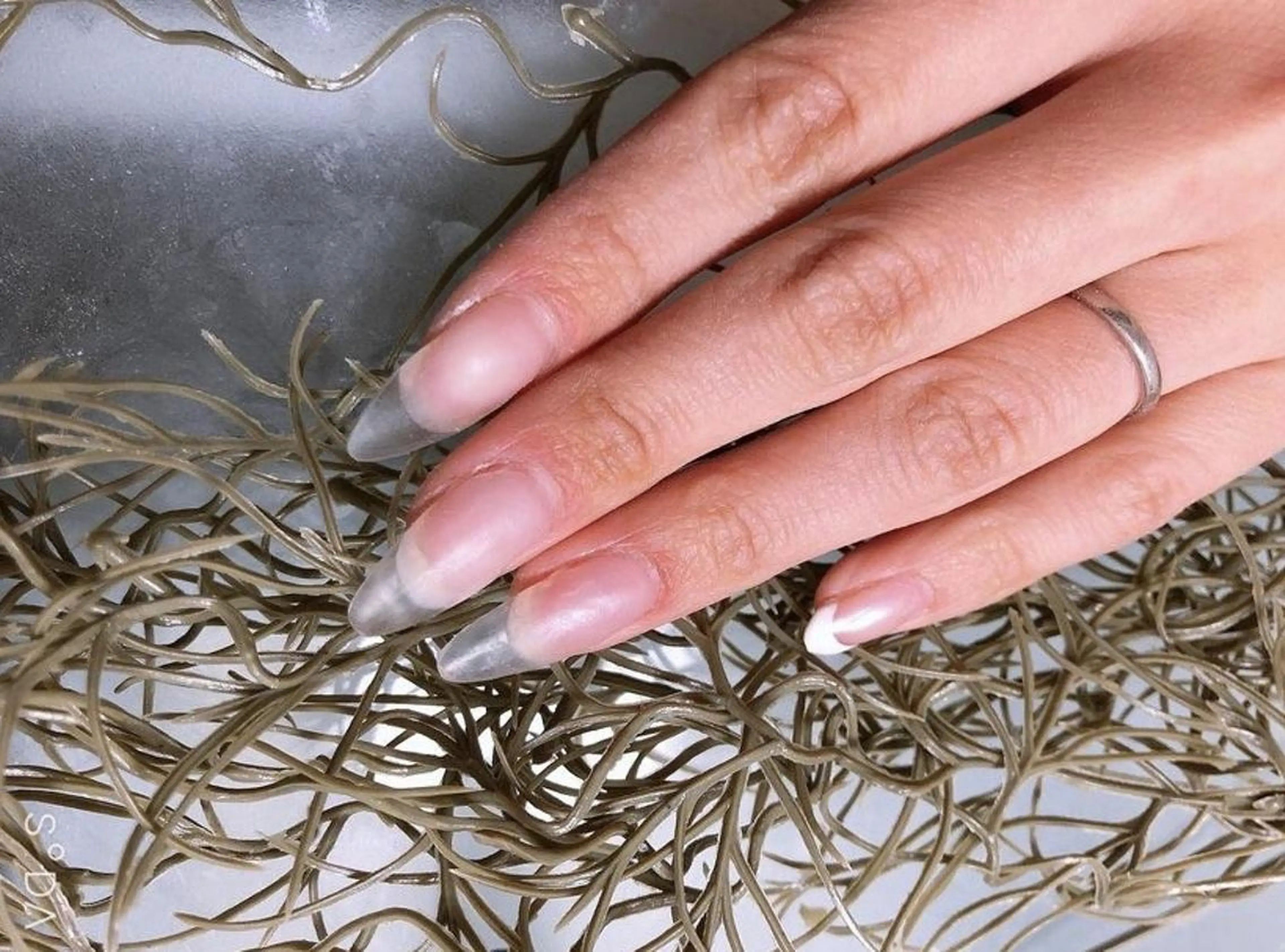 【チップ】長さだし一本💅✨の写真