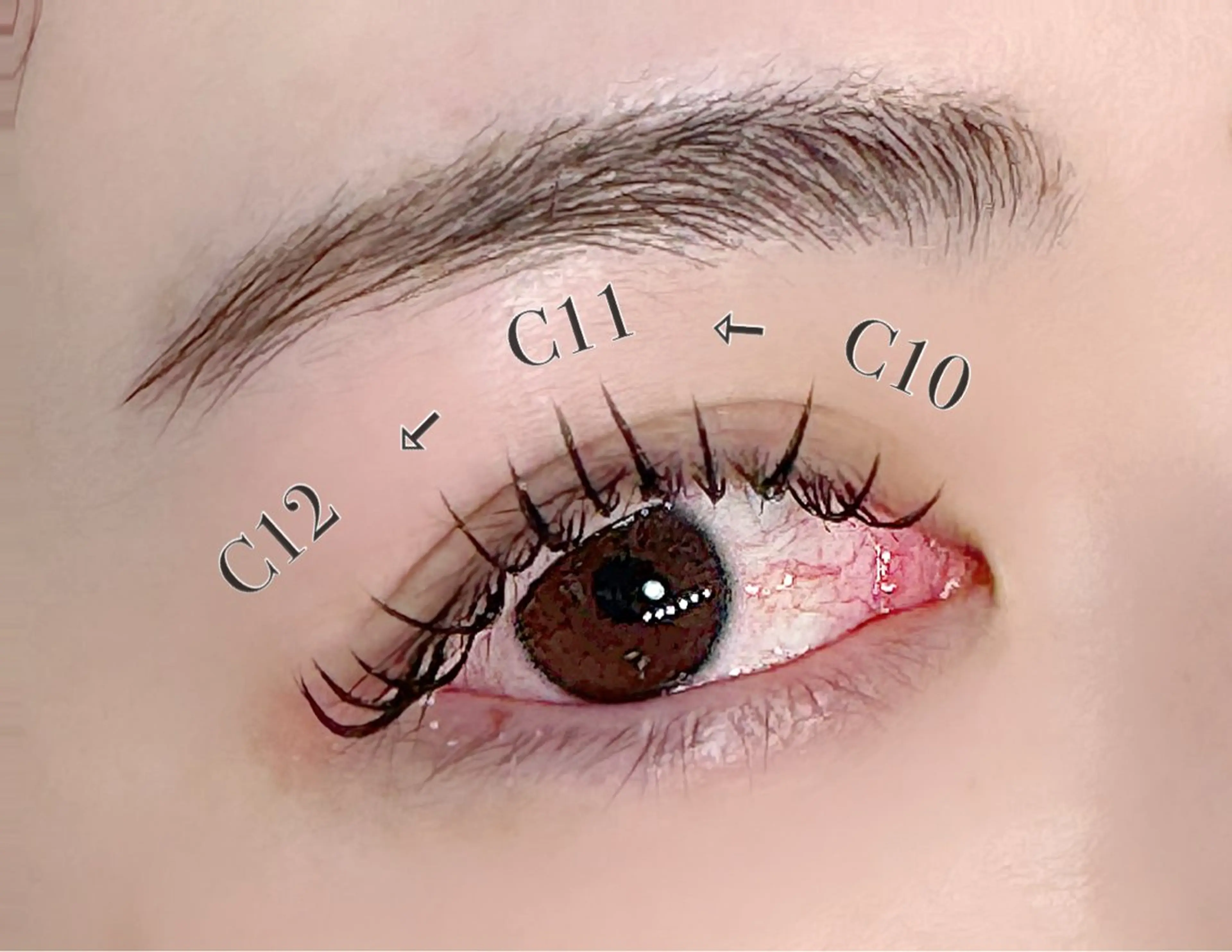 マツエク・マツパ LC 岐阜駅前店のマツエク・マツパデザイン