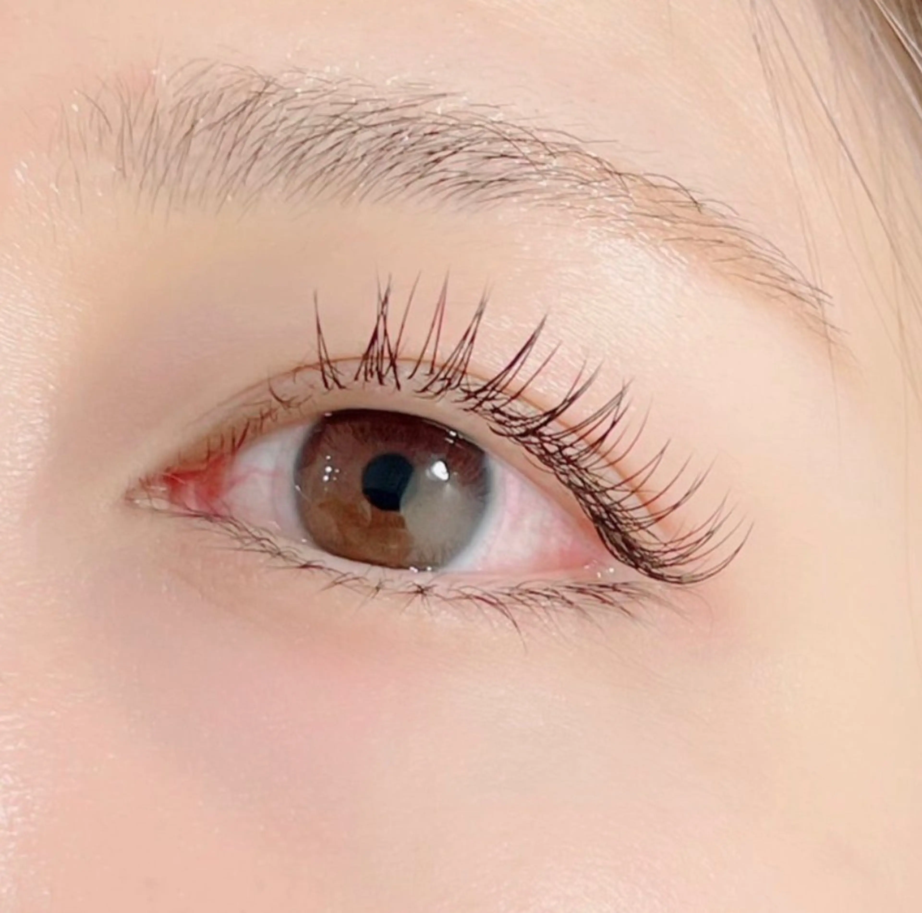 マツエク・マツパ マツエク Kanal Kanaのエステ・リラクイメージ