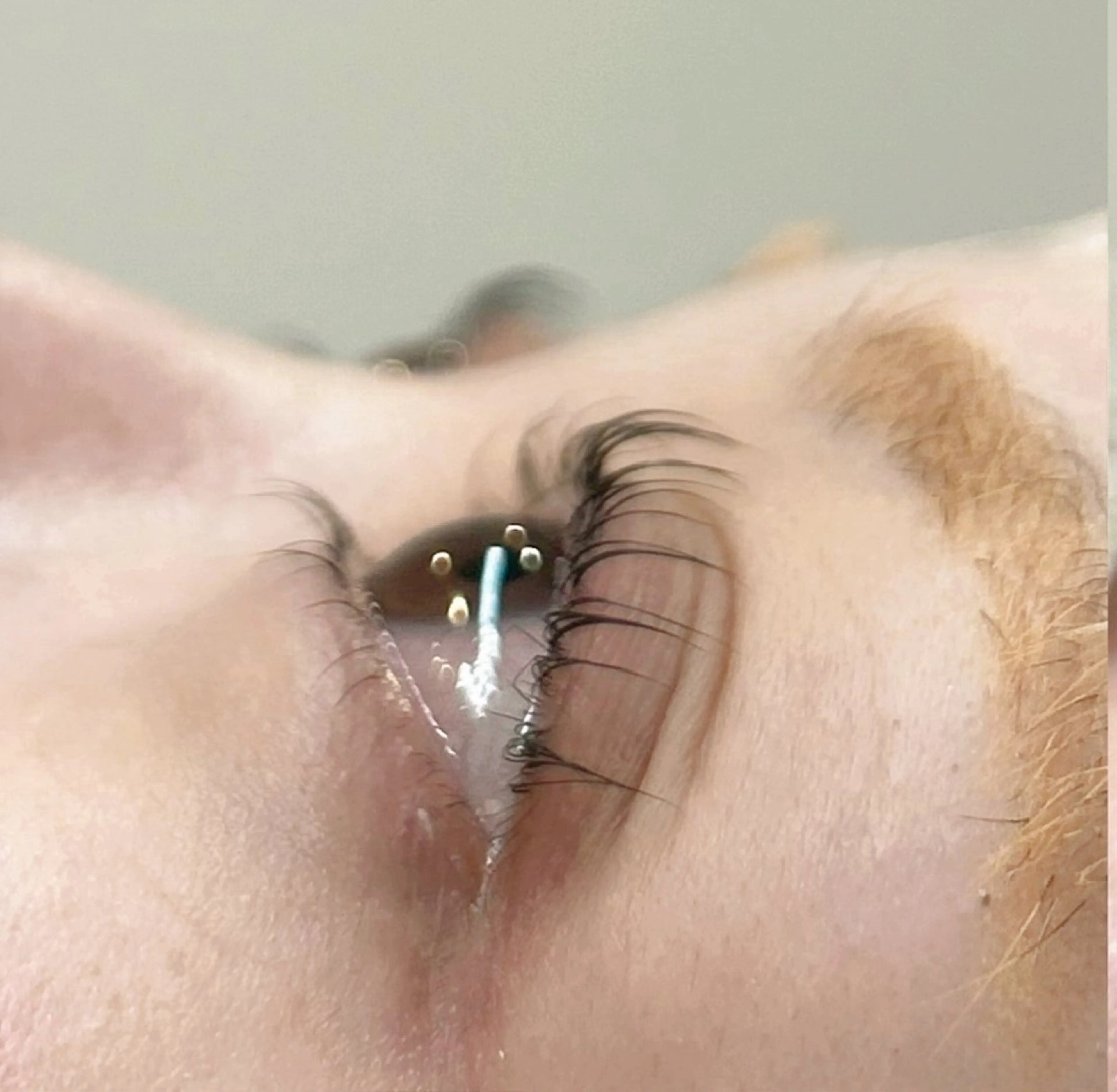 マツエク・マツパ マツパ I muu...所属・I muu... チナのマツエク・マツパデザイン