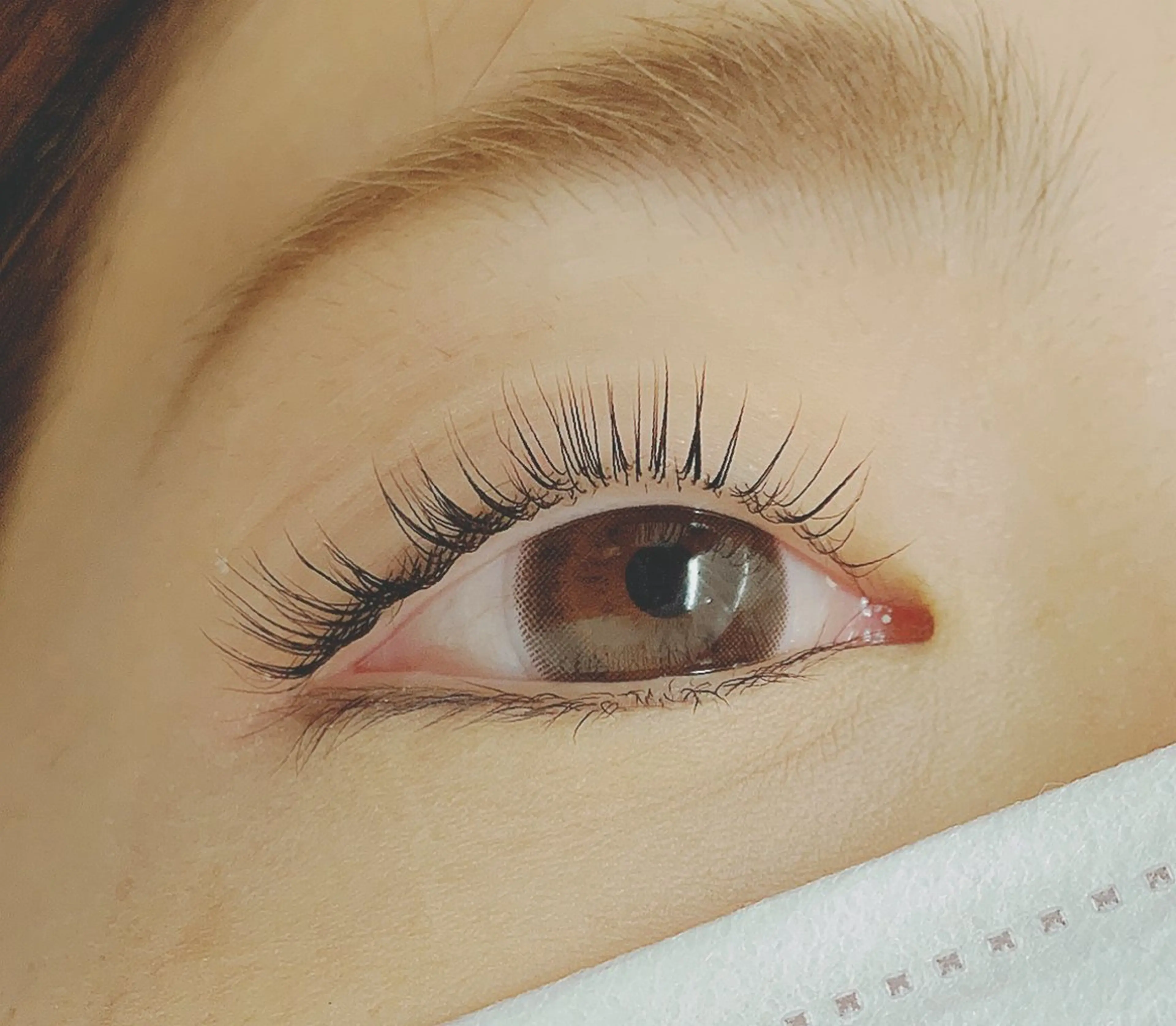 マツエク・マツパ 無料マツエク🪻 新宿駅西口徒歩7分の眉毛・アイブロウイメージ