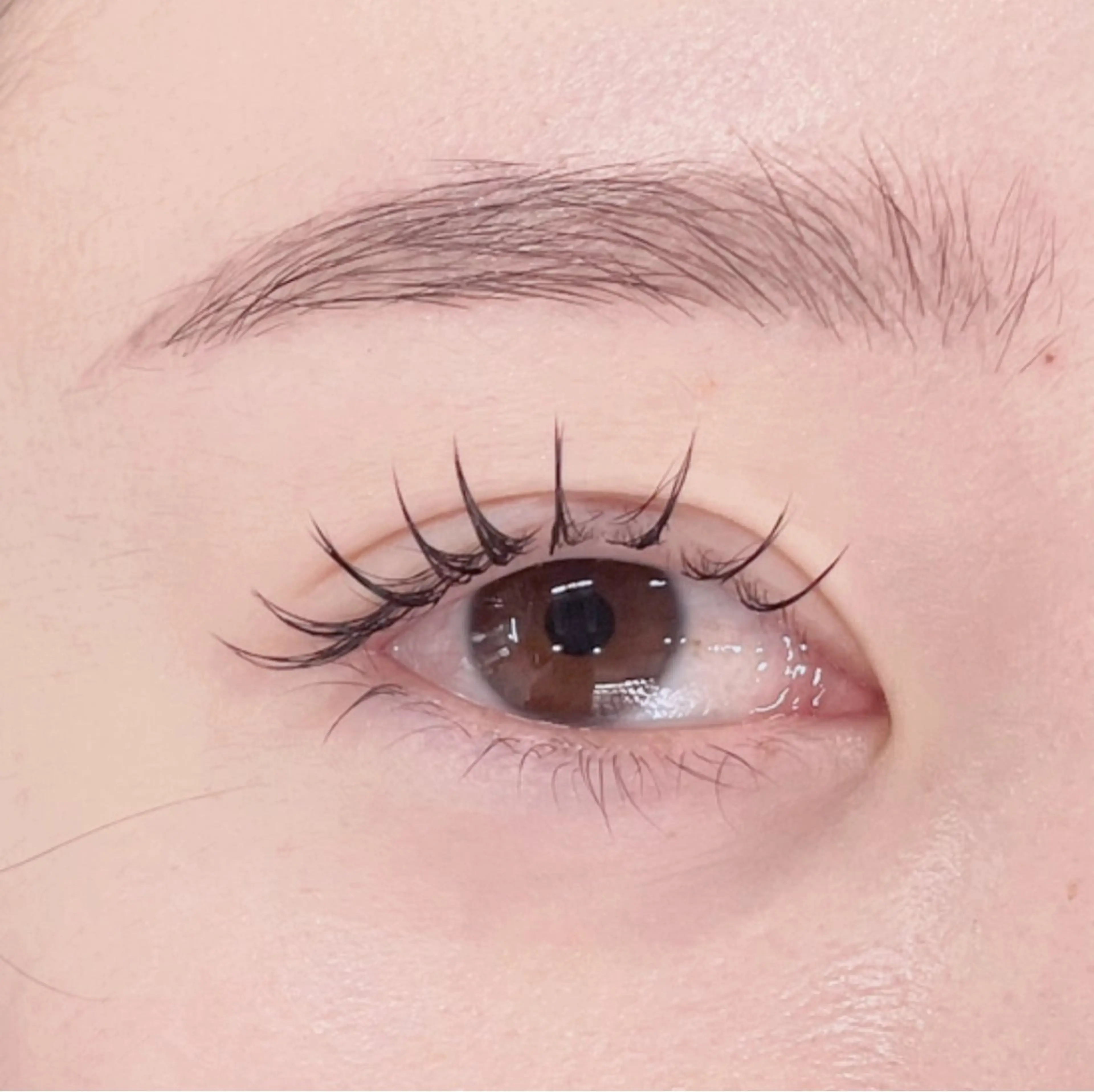 マツエク・マツパ shiria .sのマツエク・マツパデザイン