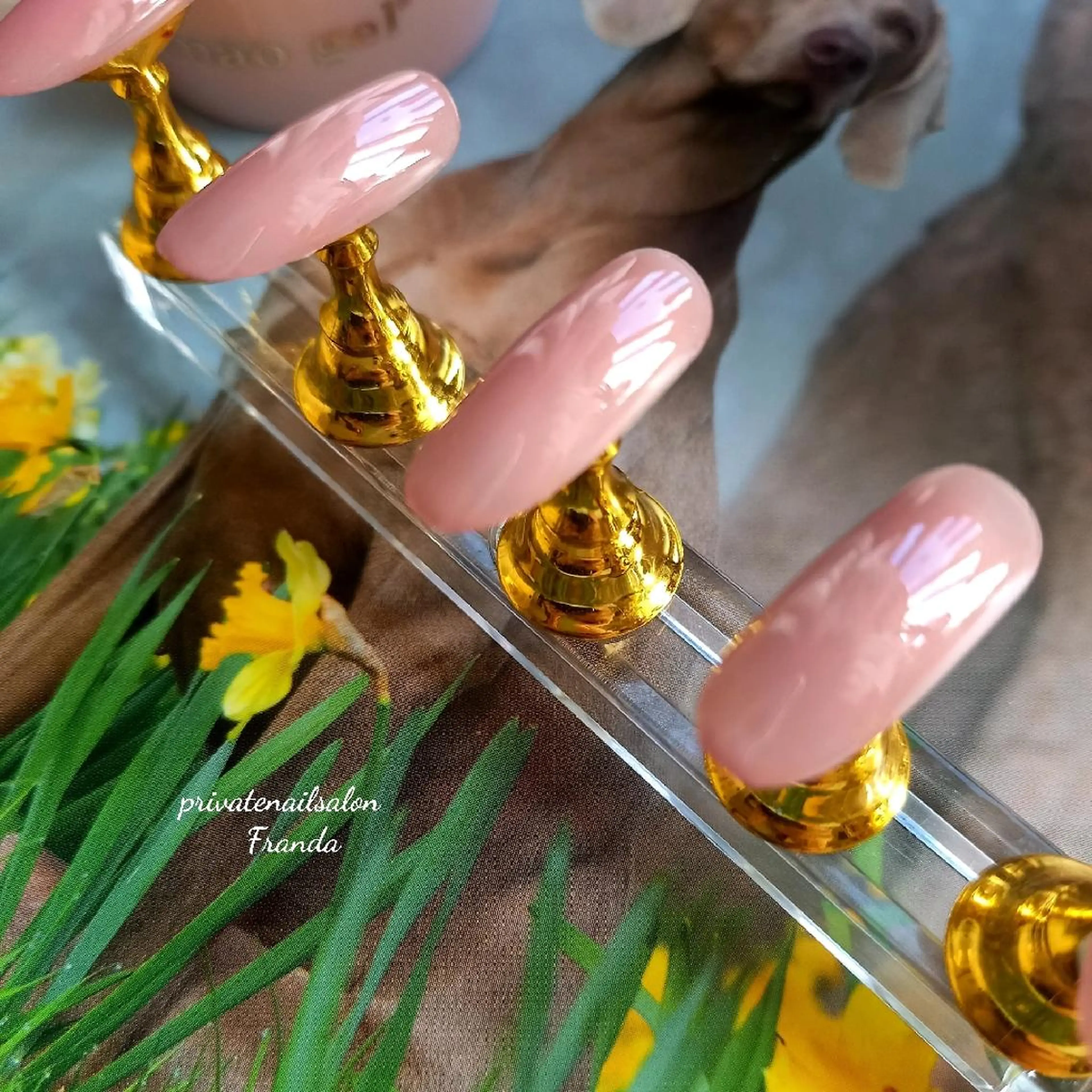 ネイル Franda ✾のネイルデザイン