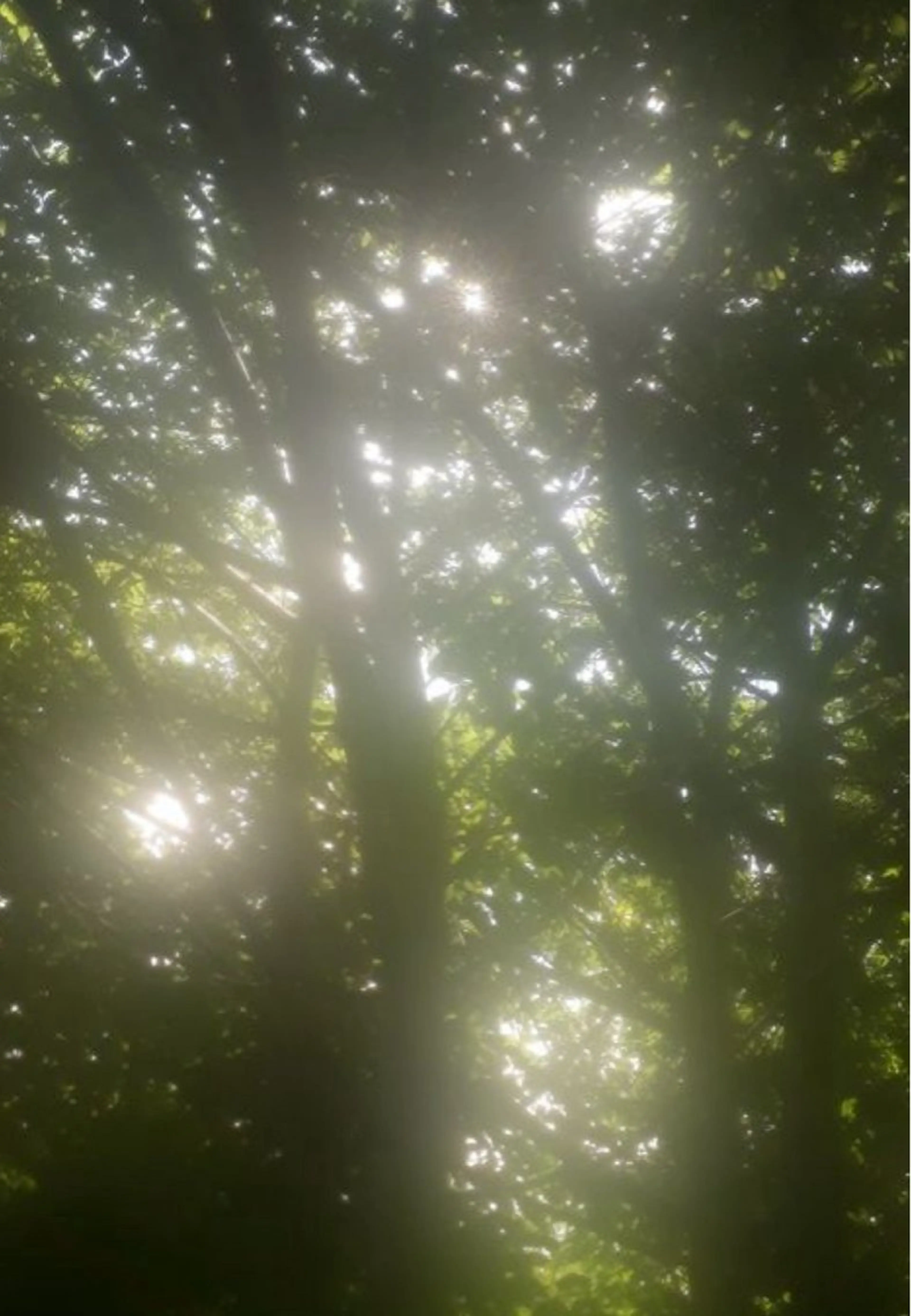 平日夕方限定プレミアムヘッドスパの写真