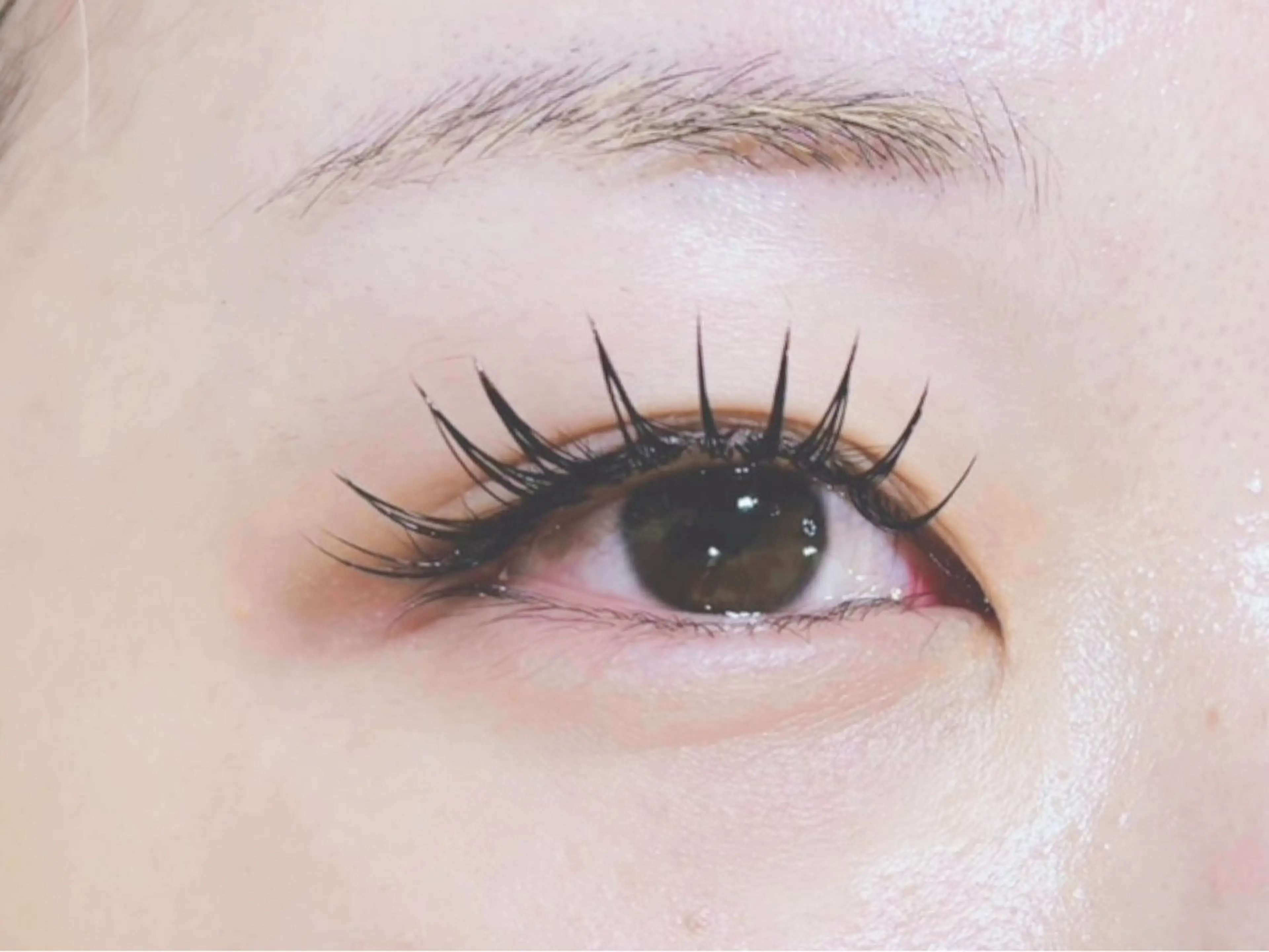 マツエク・マツパ 付け放題 バインドロック 束感まつ毛 フラットラッシュ パリジェンヌラッシュリフト マツエク オーロラ所属・AURORA RINAのマツエク・マツパデザイン