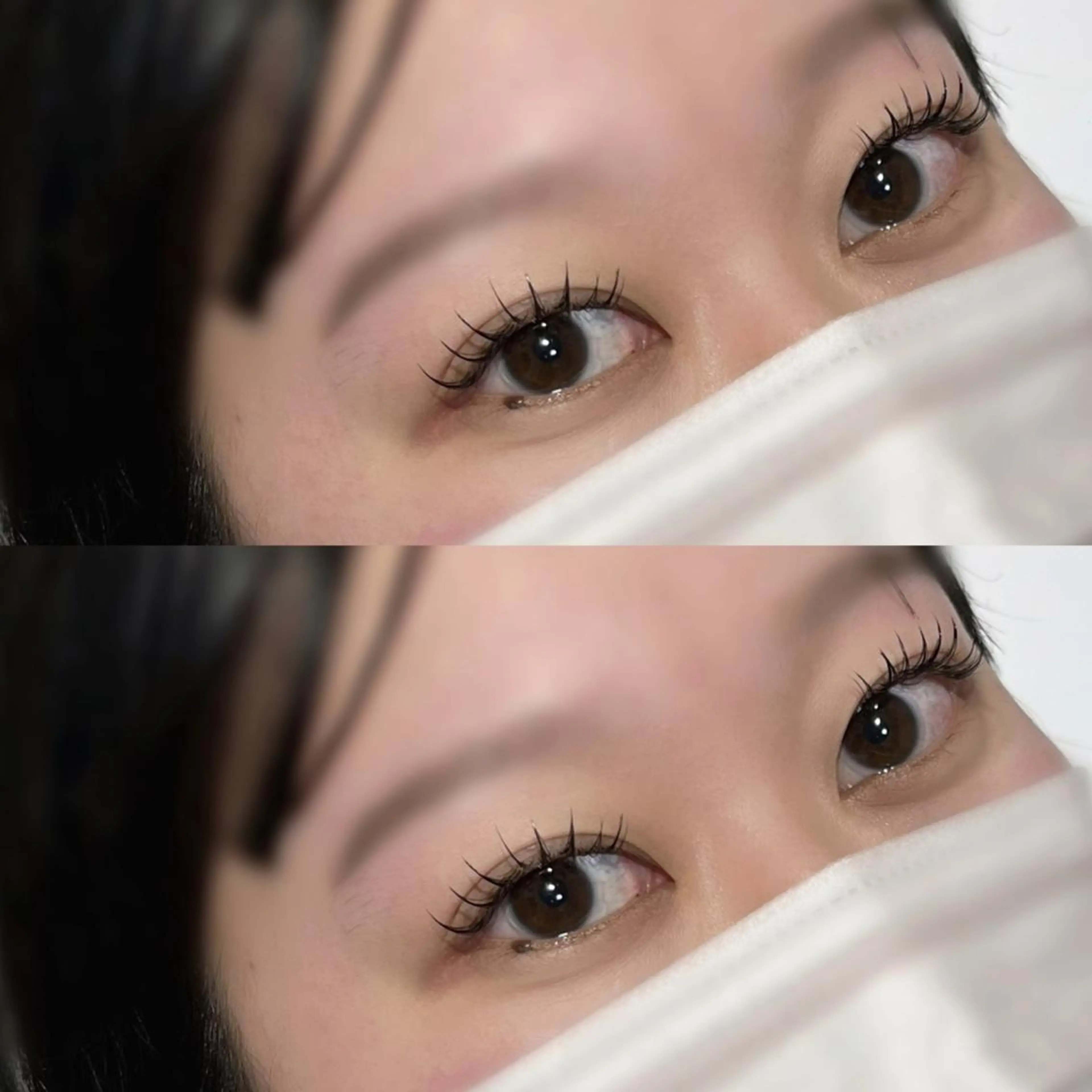 《バインドロック60束（120本）》の写真