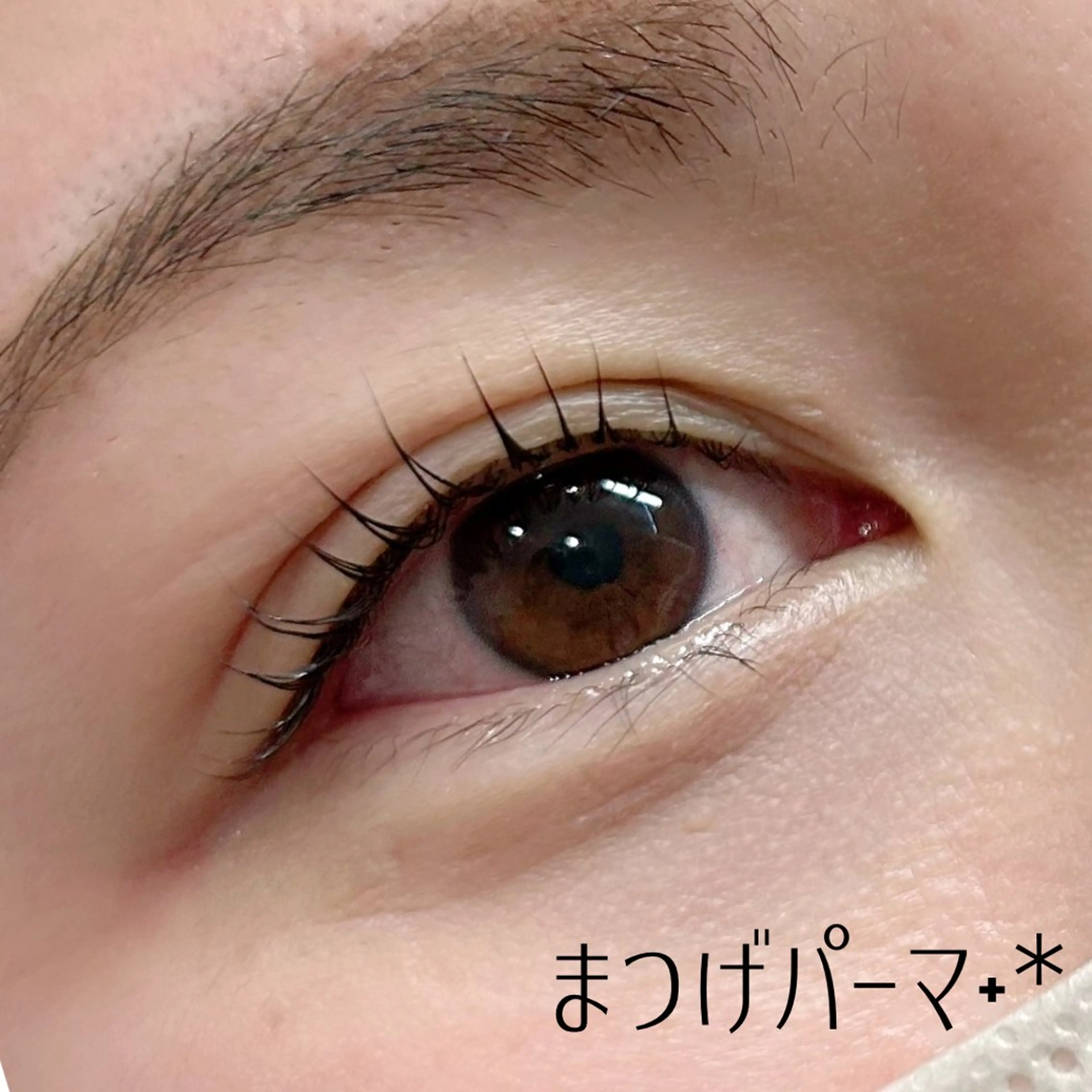 マツエク・マツパ マツパ ivy 中村歩実のマツエク・マツパデザイン