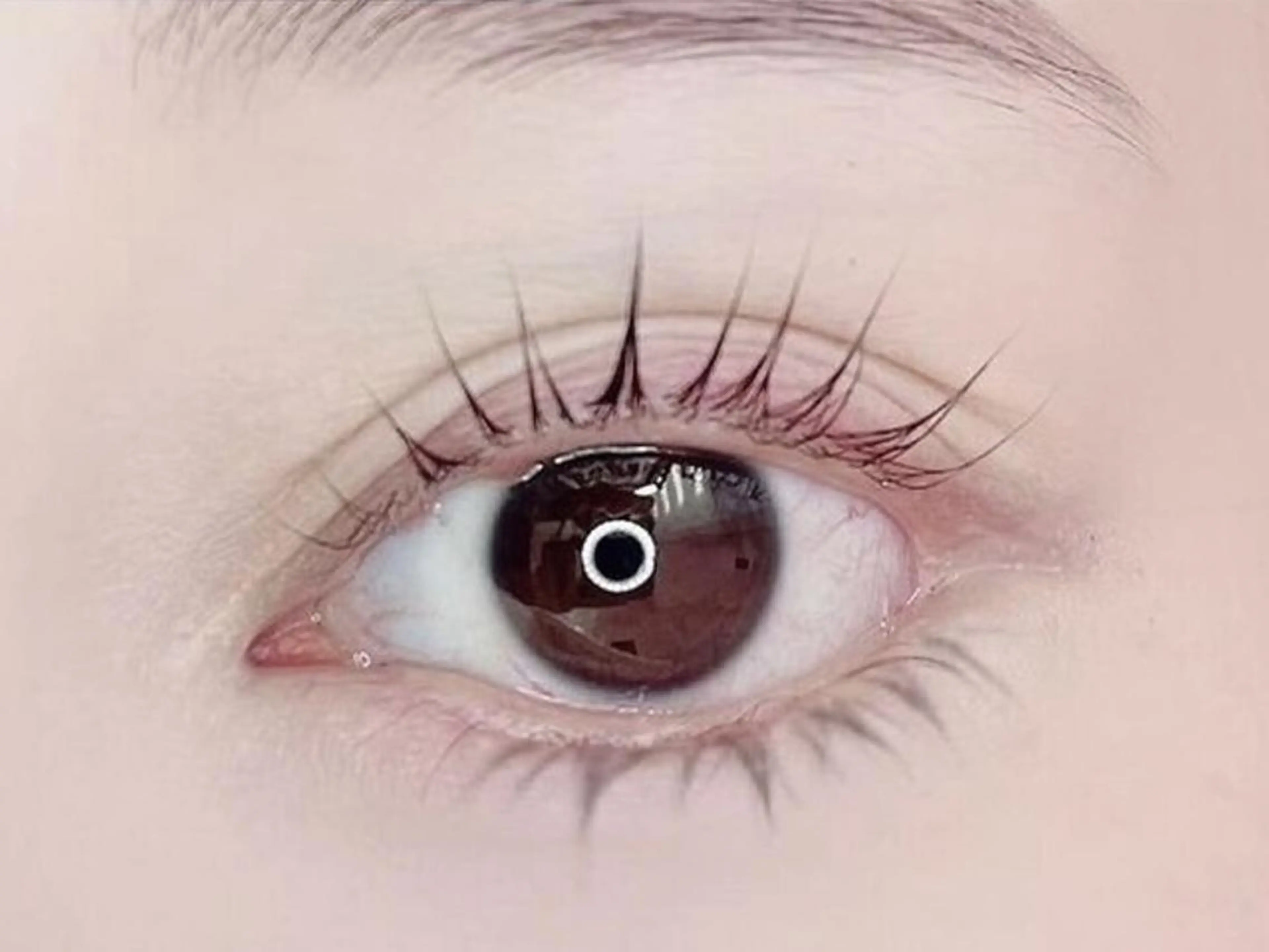 eyelist Ayanoのマツエク・マツパデザイン