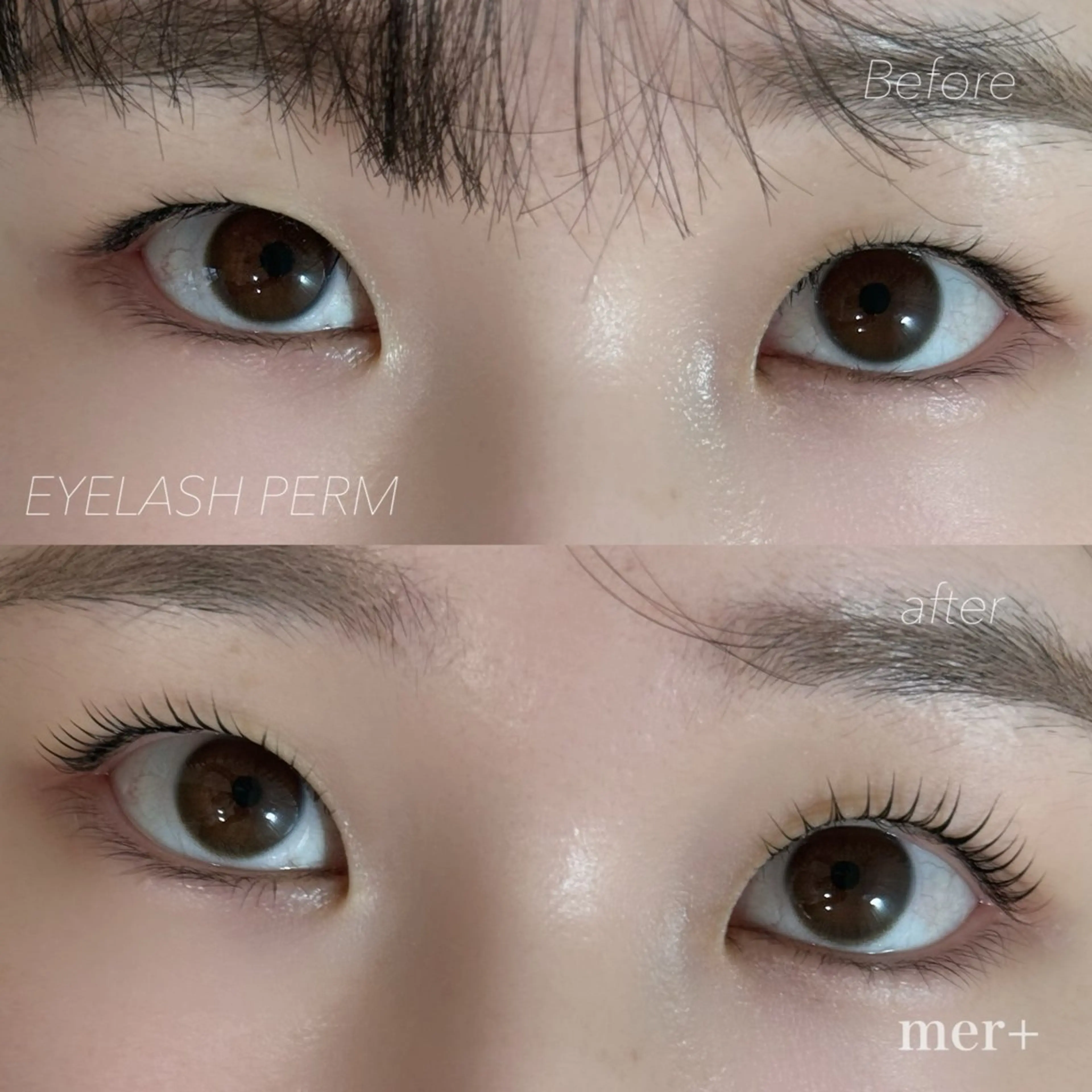 マツエク・マツパ Dカール まつげパーマ mer【メル】 カナヅカのマツエク・マツパデザイン