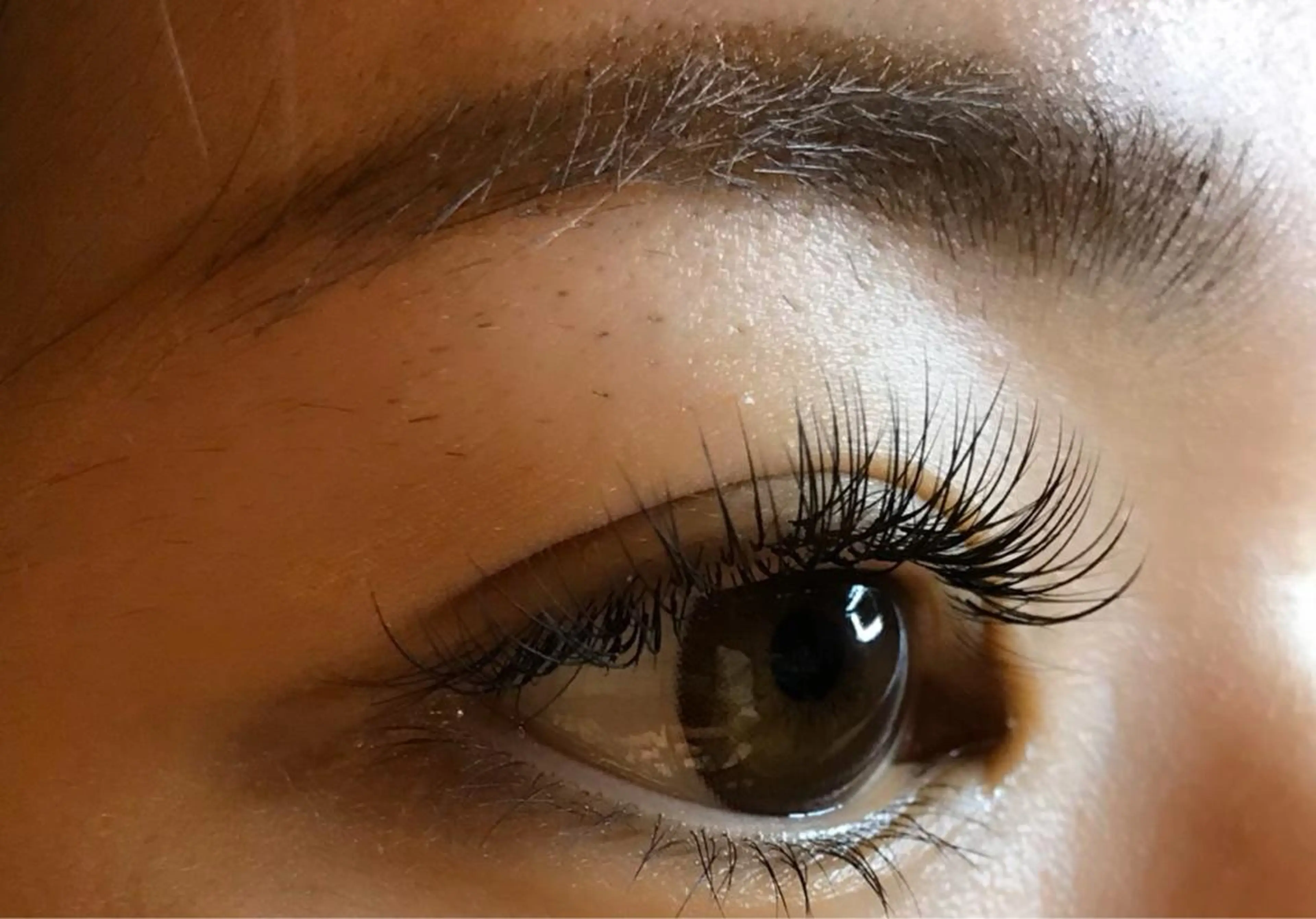 💛初回限定マツエク 90本💛の写真