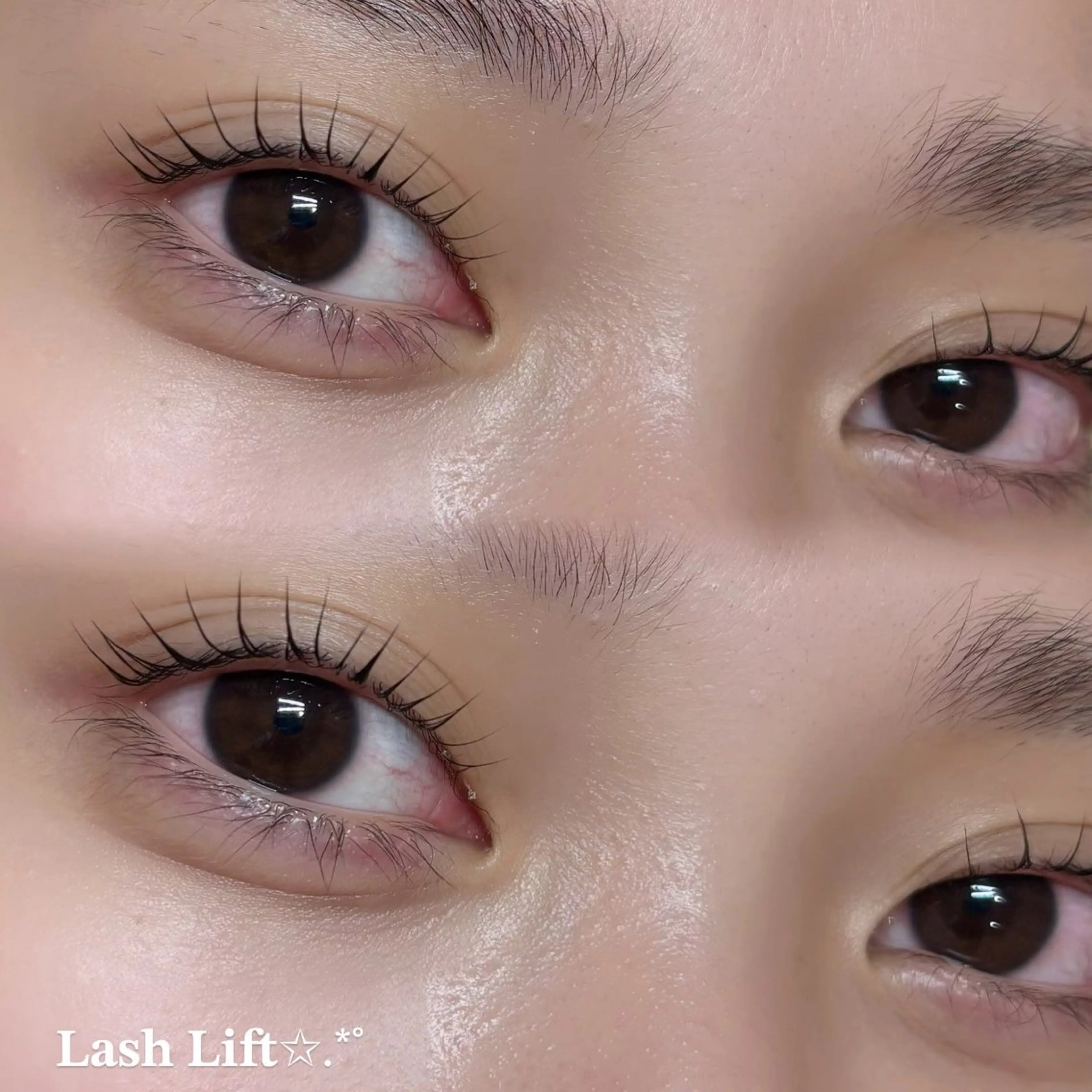 マツエク・マツパ ナチュラル マツパ YUZUKI .⋆𝜗𝜚のマツエク・マツパデザイン