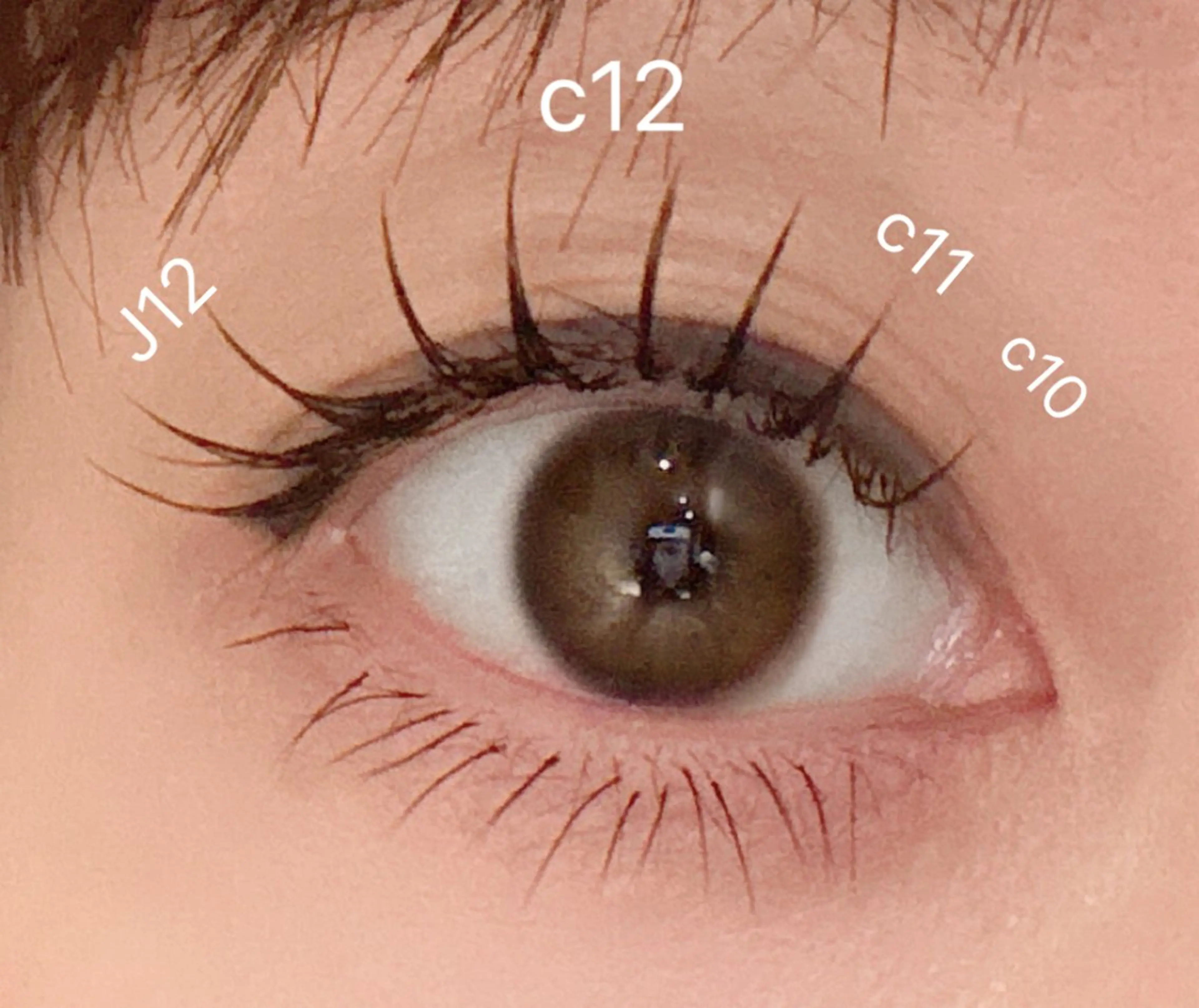 マツエク・マツパ フラットラッシュ kico.coサロン 池袋ニ丁目店のマツエク・マツパデザイン