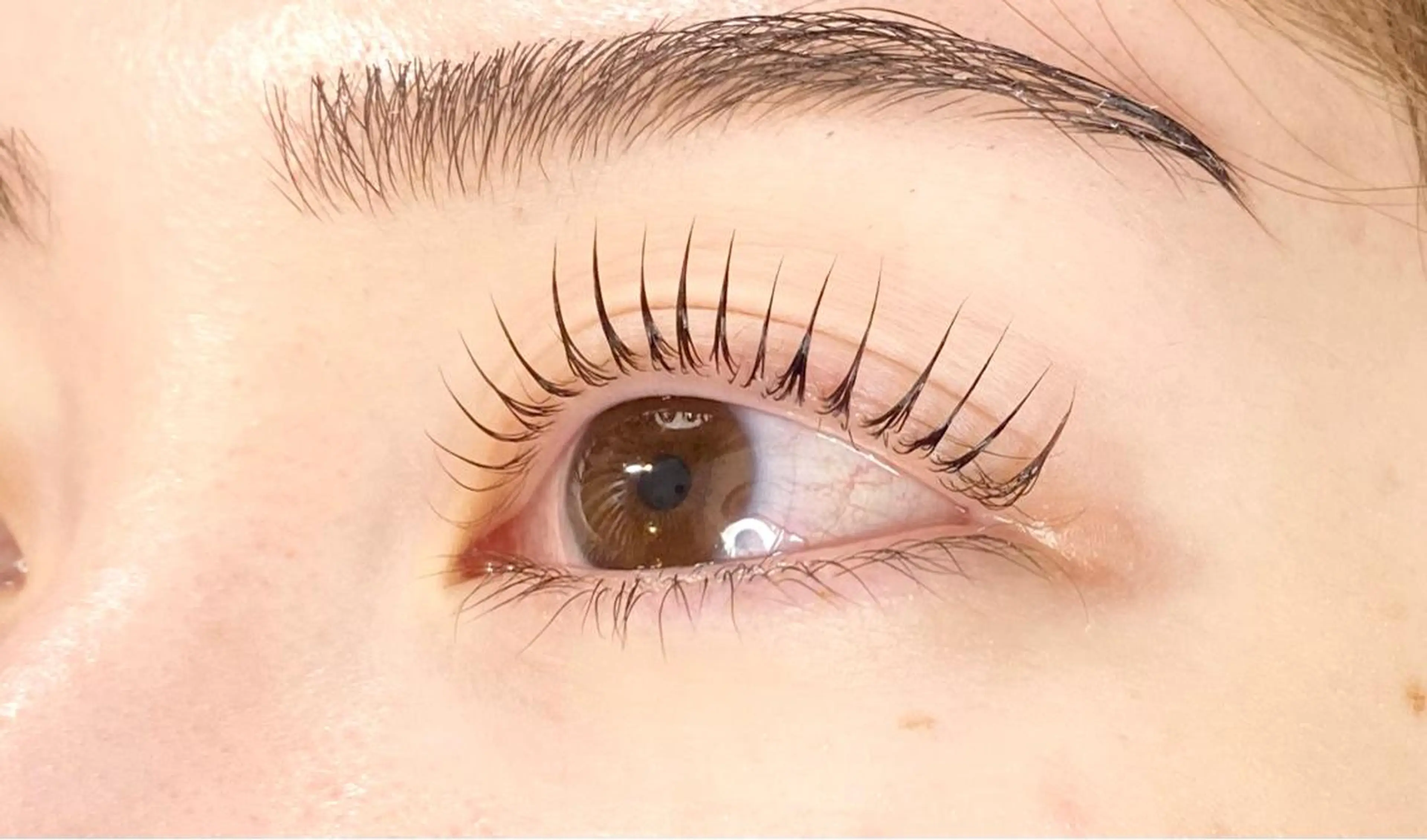 マツエク・マツパ マツパ Chisato🤍池 袋/マツパ/マツエクのマツエク・マツパデザイン