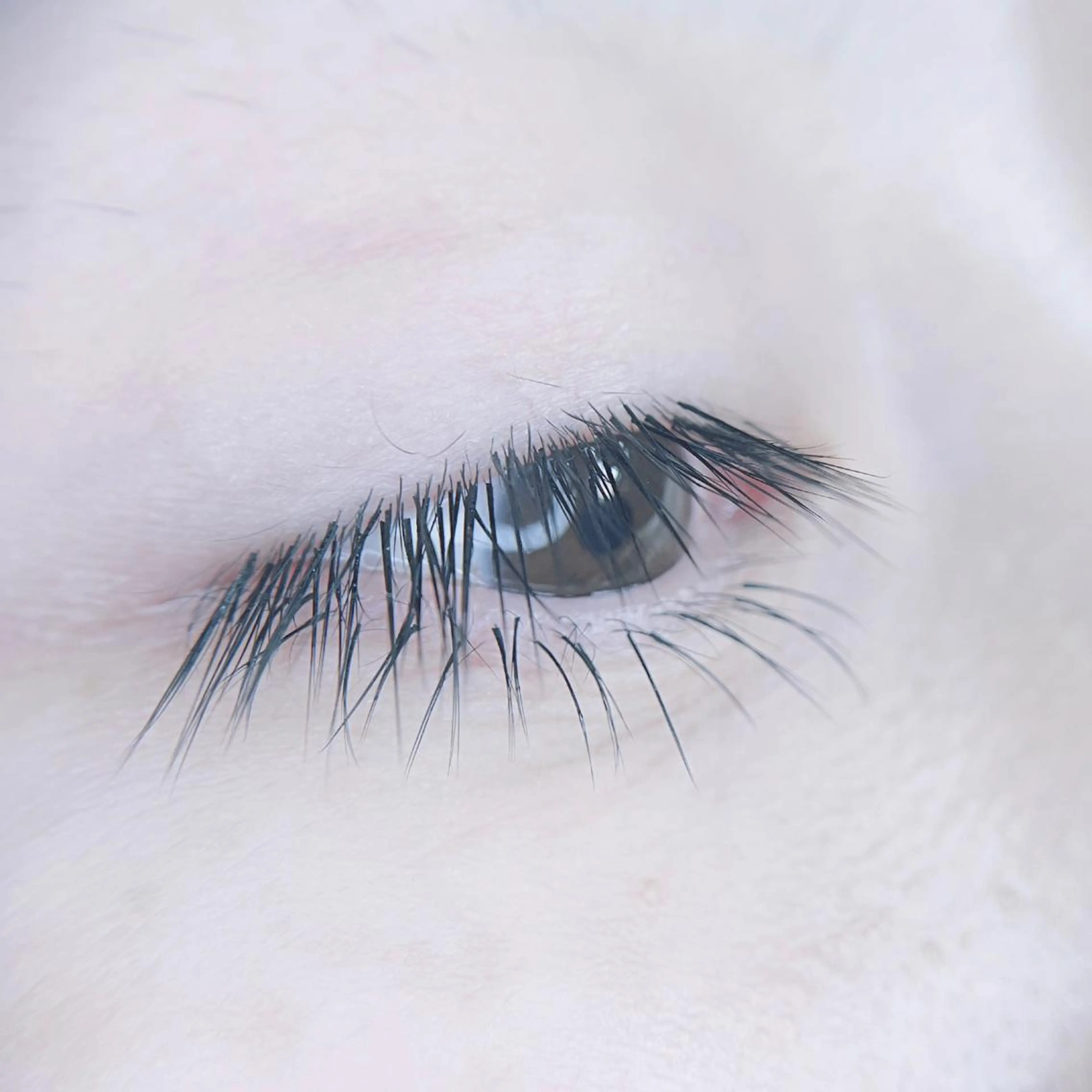 マツエク・マツパ マツエク foisalon 大久保店のマツエク・マツパデザイン