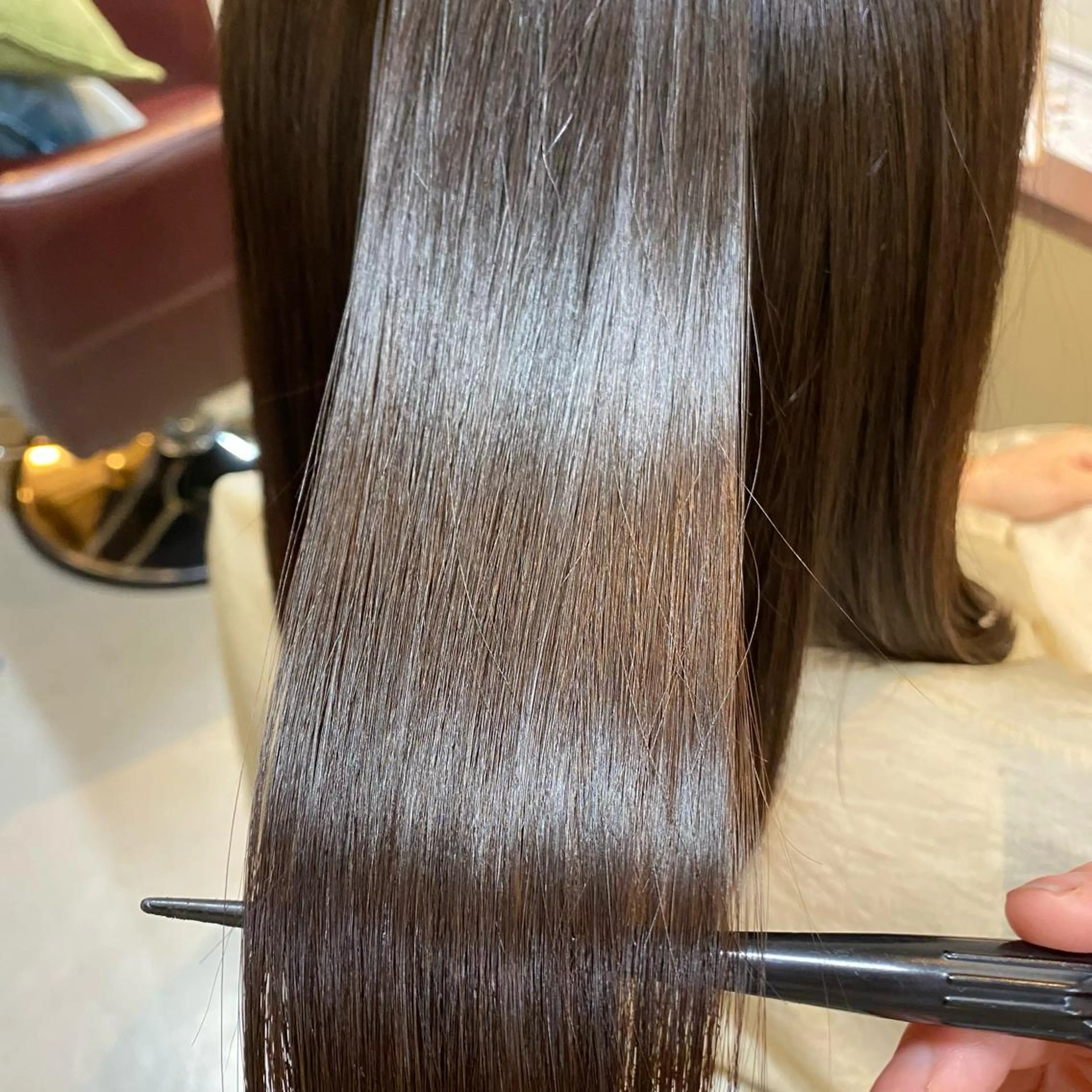 ミディアム 水谷 菜央のヘアスタイル