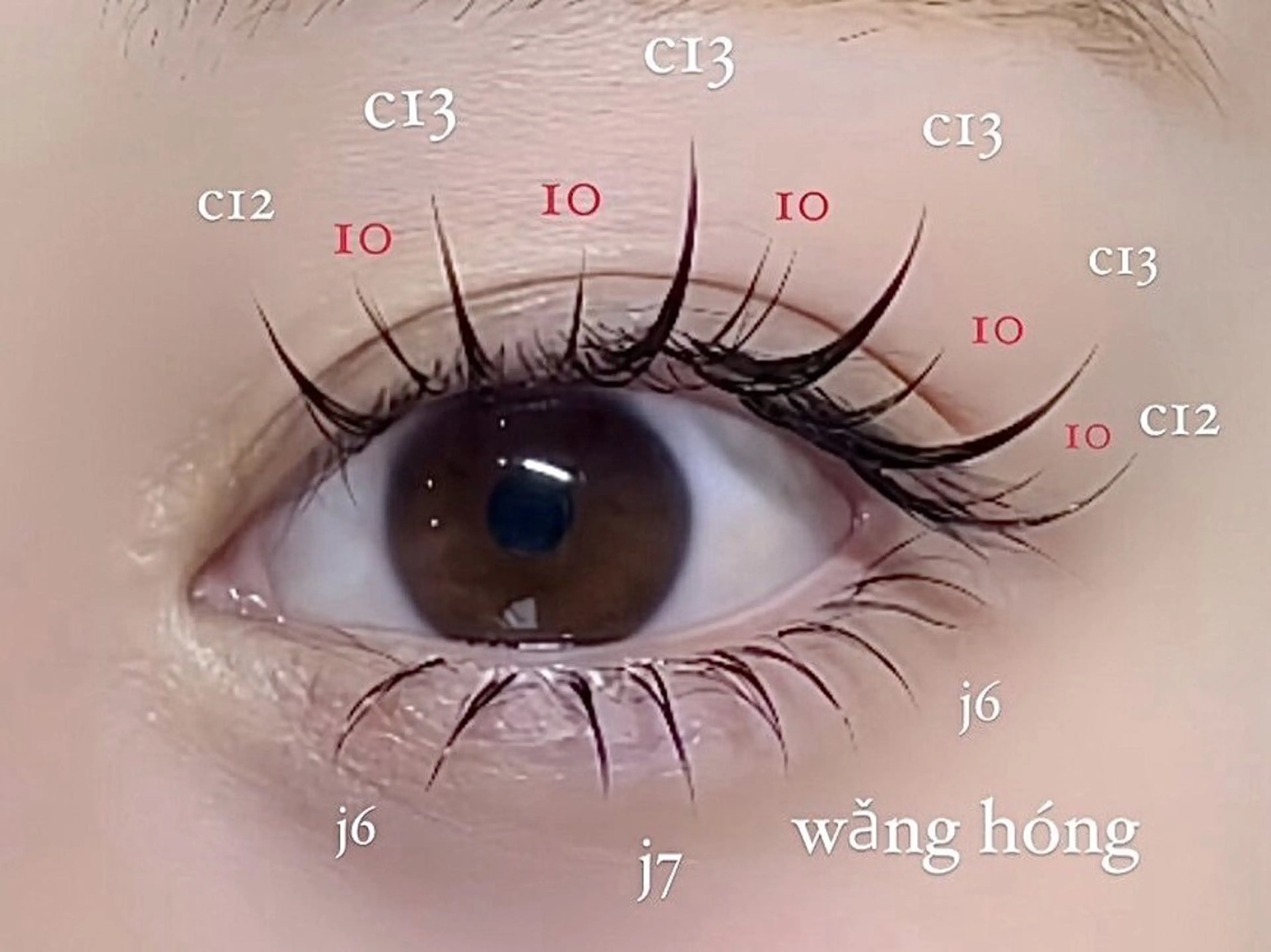 マツエク・マツパ ワンホンマツエク ビーナスベルト 渋谷店所属・VENUSBELT 🌺YUNのマツエク・マツパデザイン