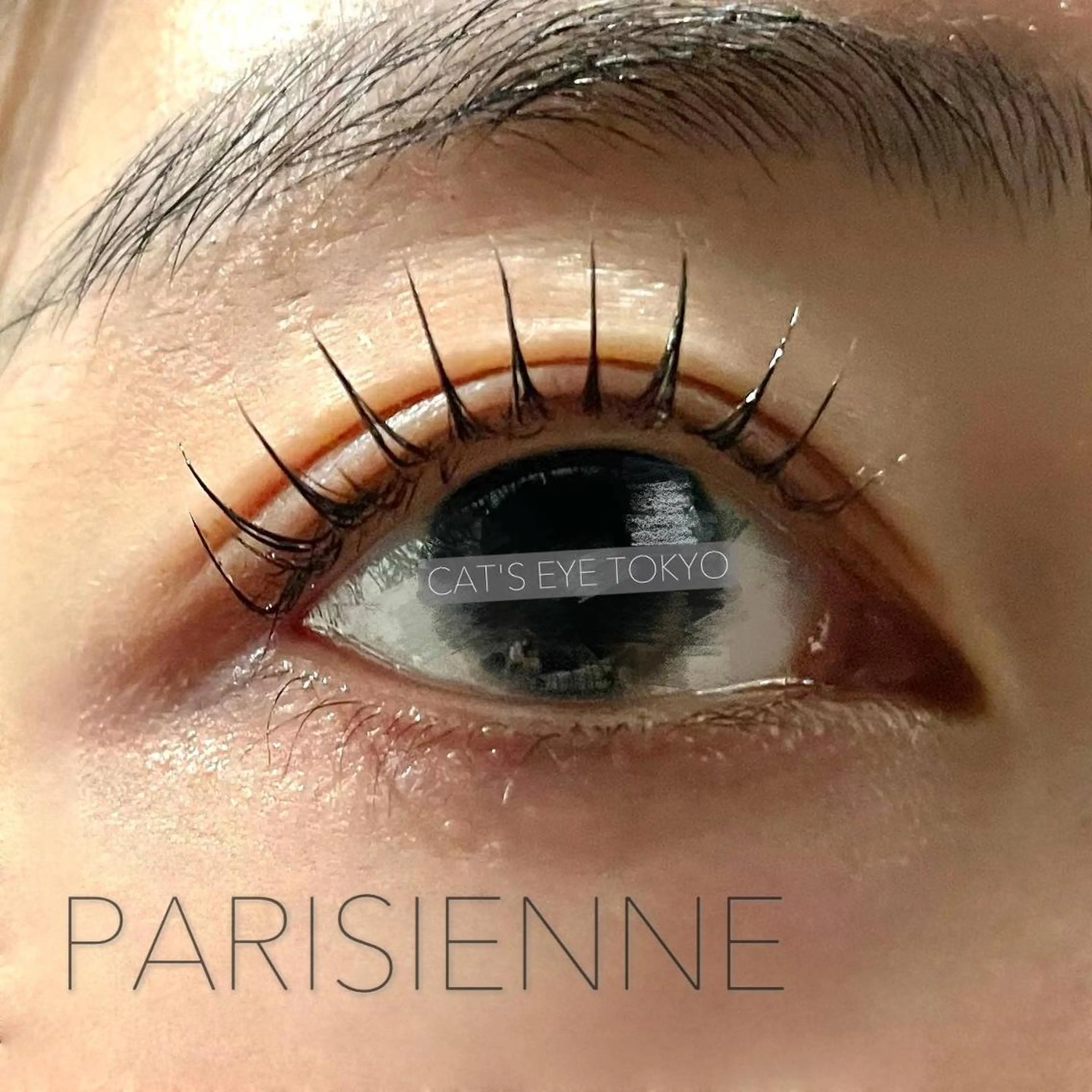 ネイル マツエク・マツパ パリジェンヌラッシュリフト Cat's eye TOKYO 新宿店のネイルデザイン