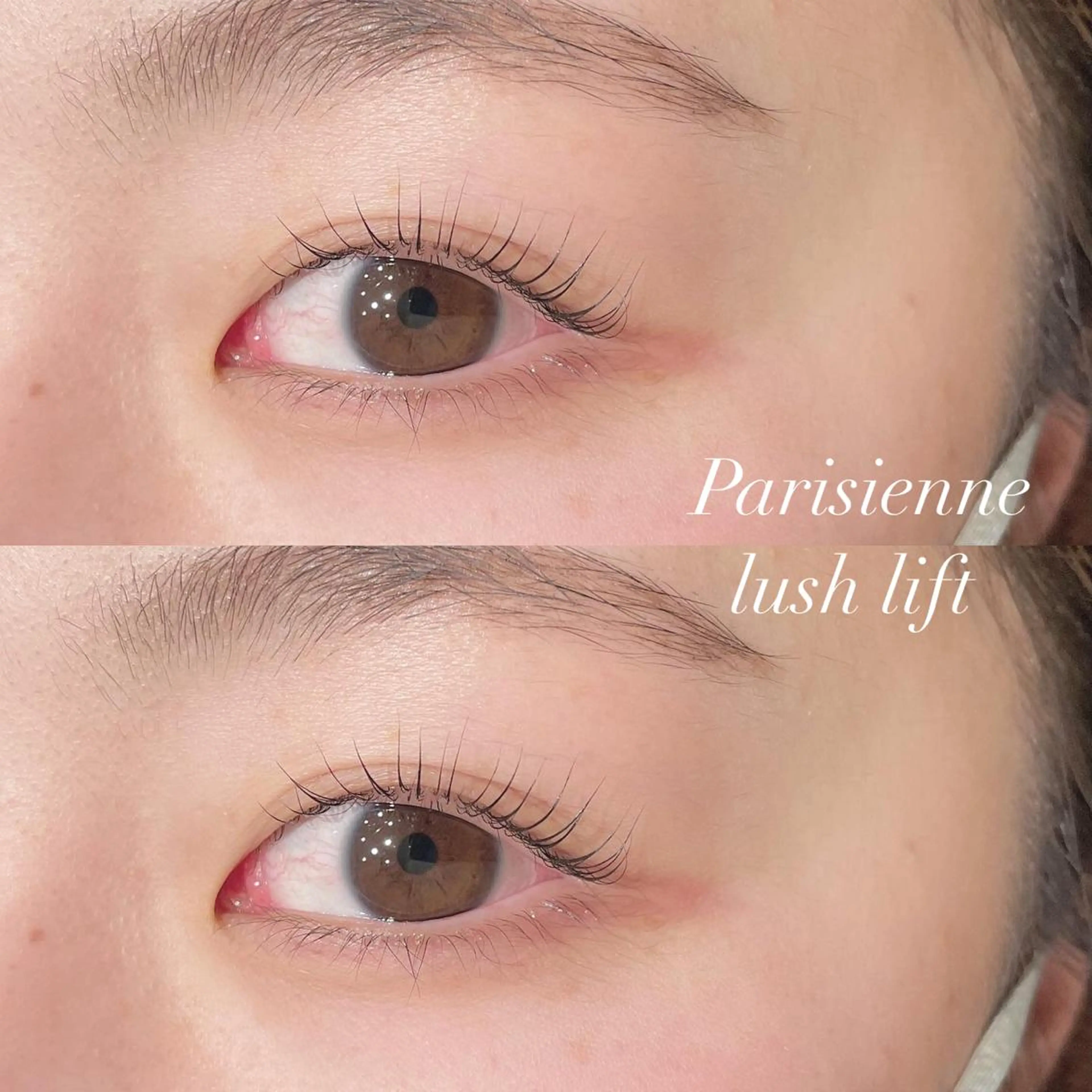 マツエク・マツパ パリジェンヌラッシュリフト マツパ トップアイリスト やつだ🐩のマツエク・マツパデザイン