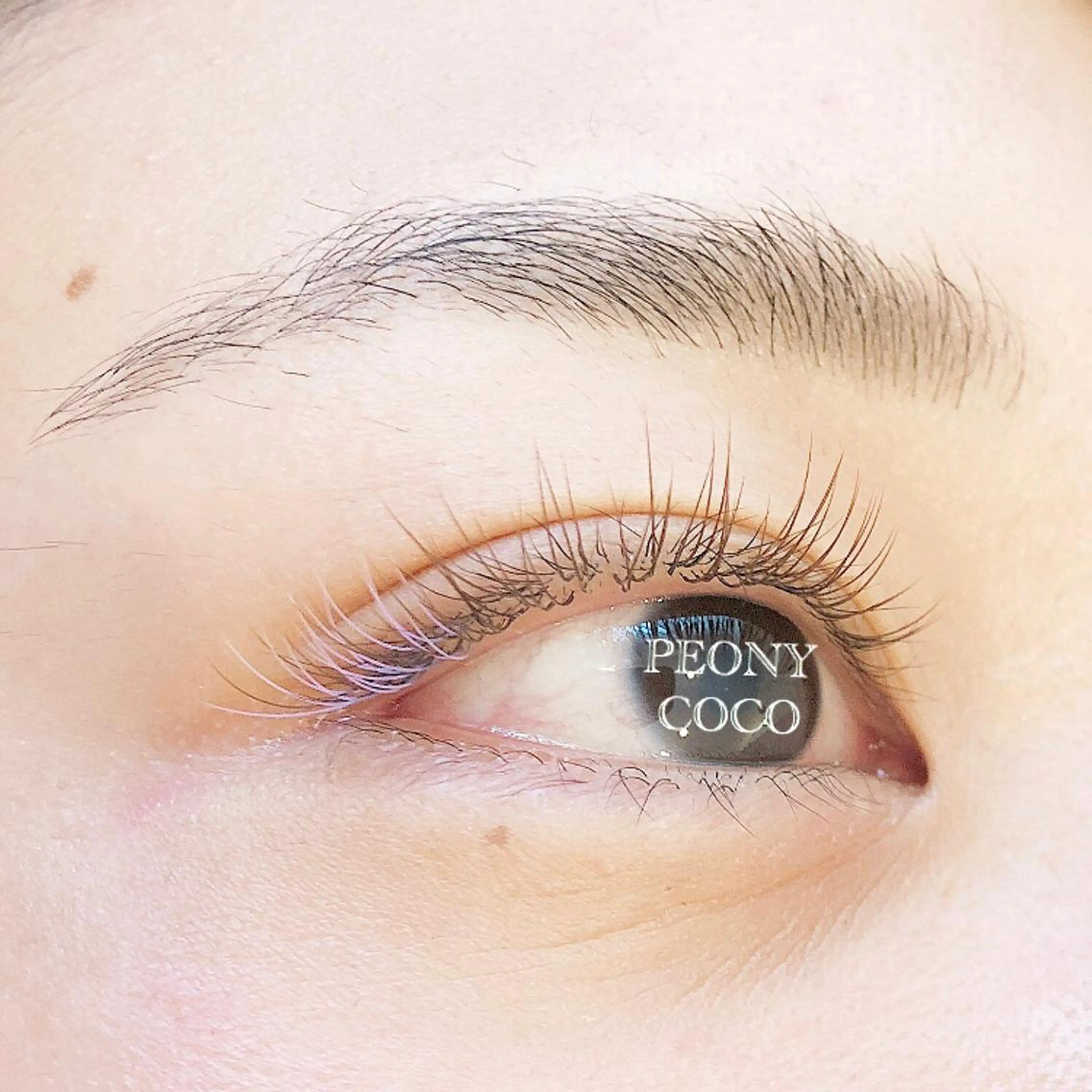 マツエク・マツパ Beauty salon STELLA所属・STELLA 大西南帆のマツエク・マツパデザイン