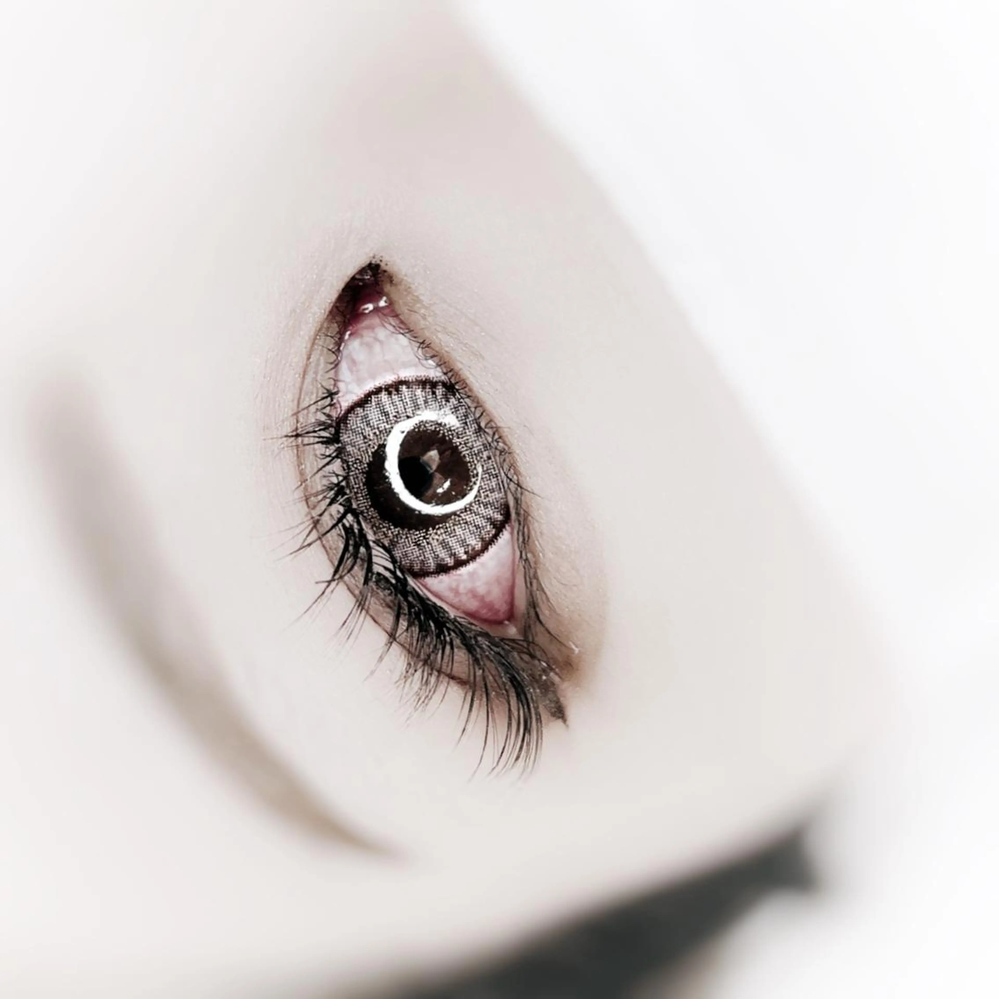 マツエク・マツパ 美容室アムノア所属・美容室 AMUNOAのマツエク・マツパデザイン