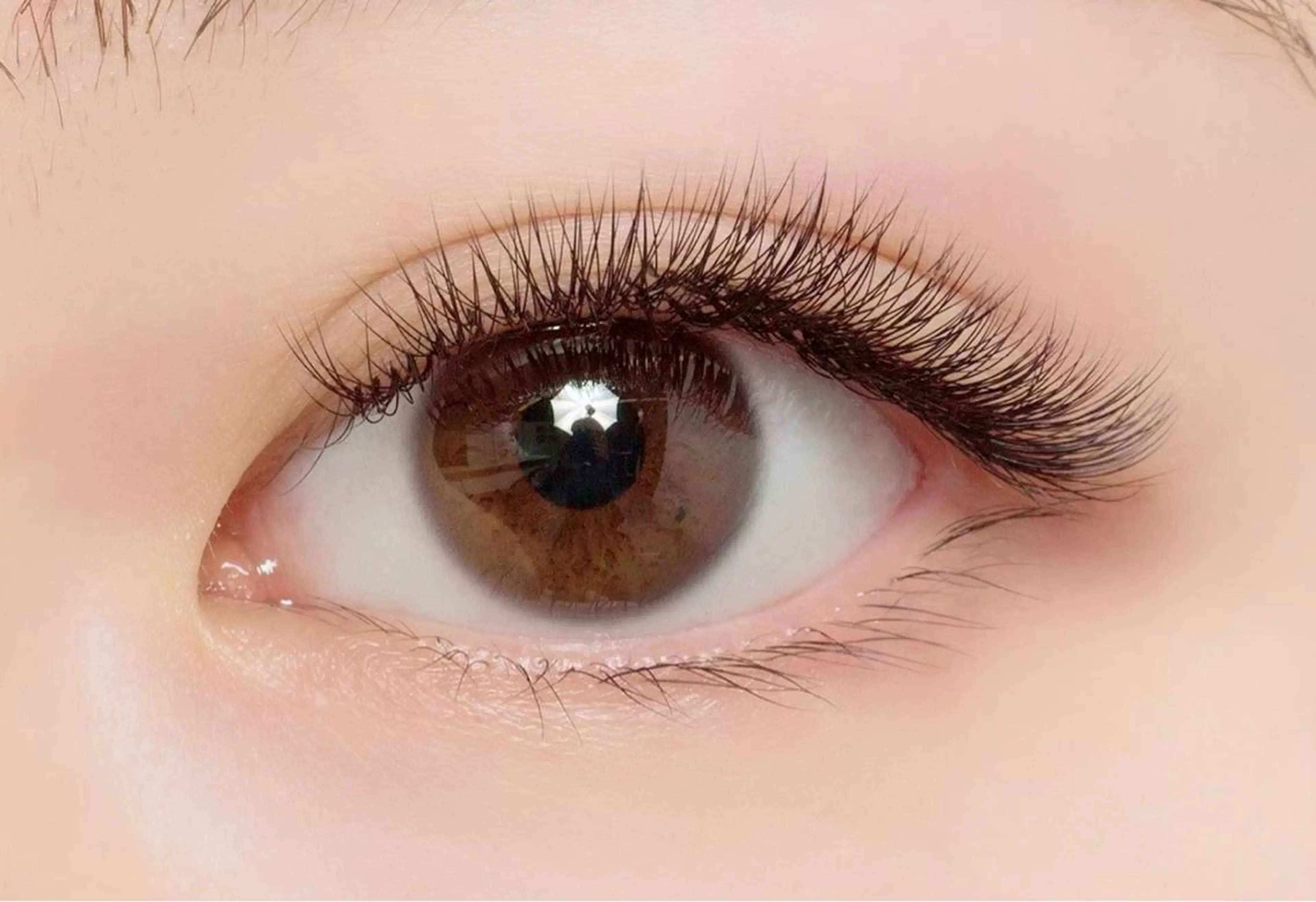 マツエク・マツパ eyelist kのマツエク・マツパデザイン