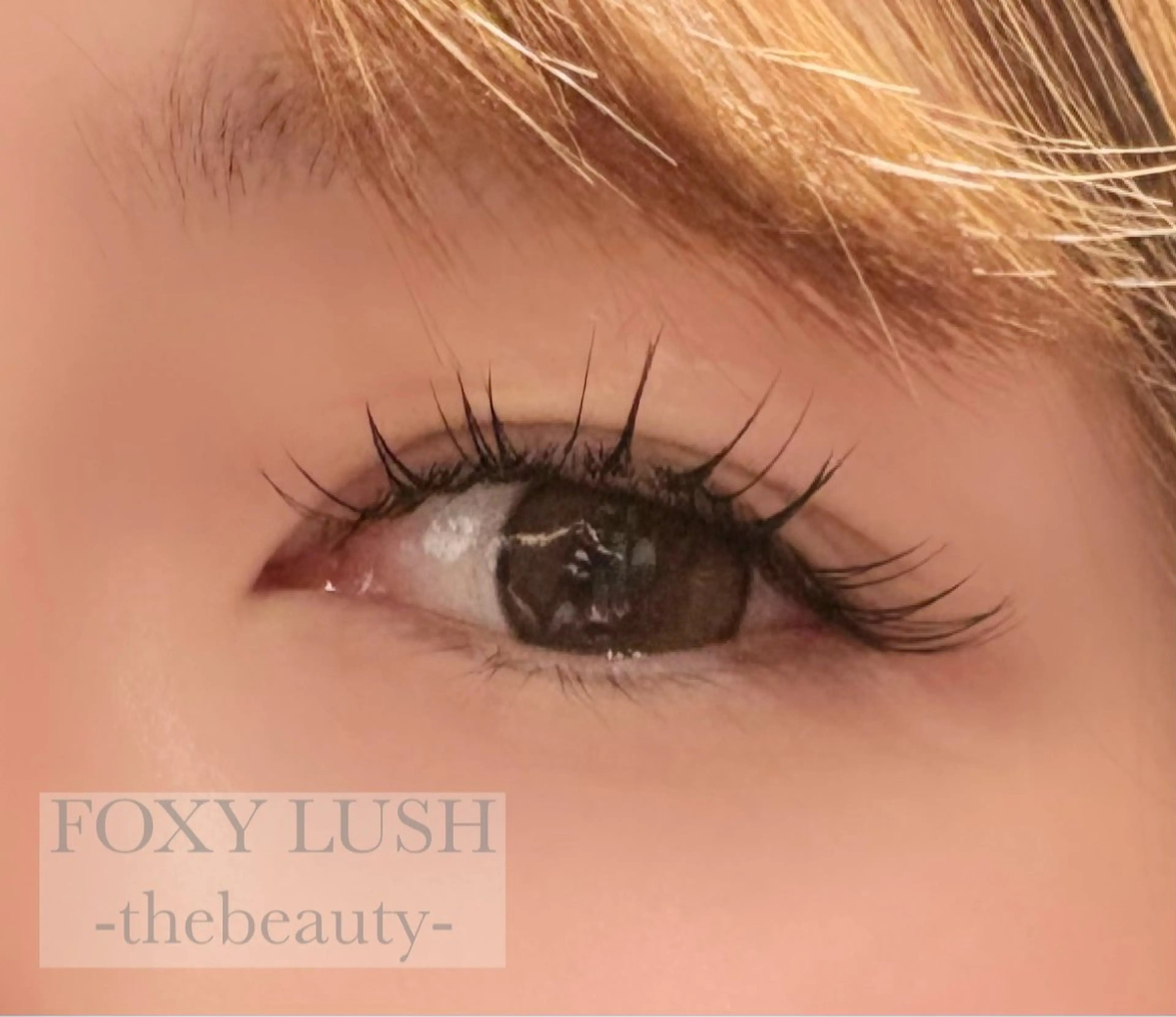 マツエク・マツパ FOXYLASH Hoichiのマツエク・マツパデザイン