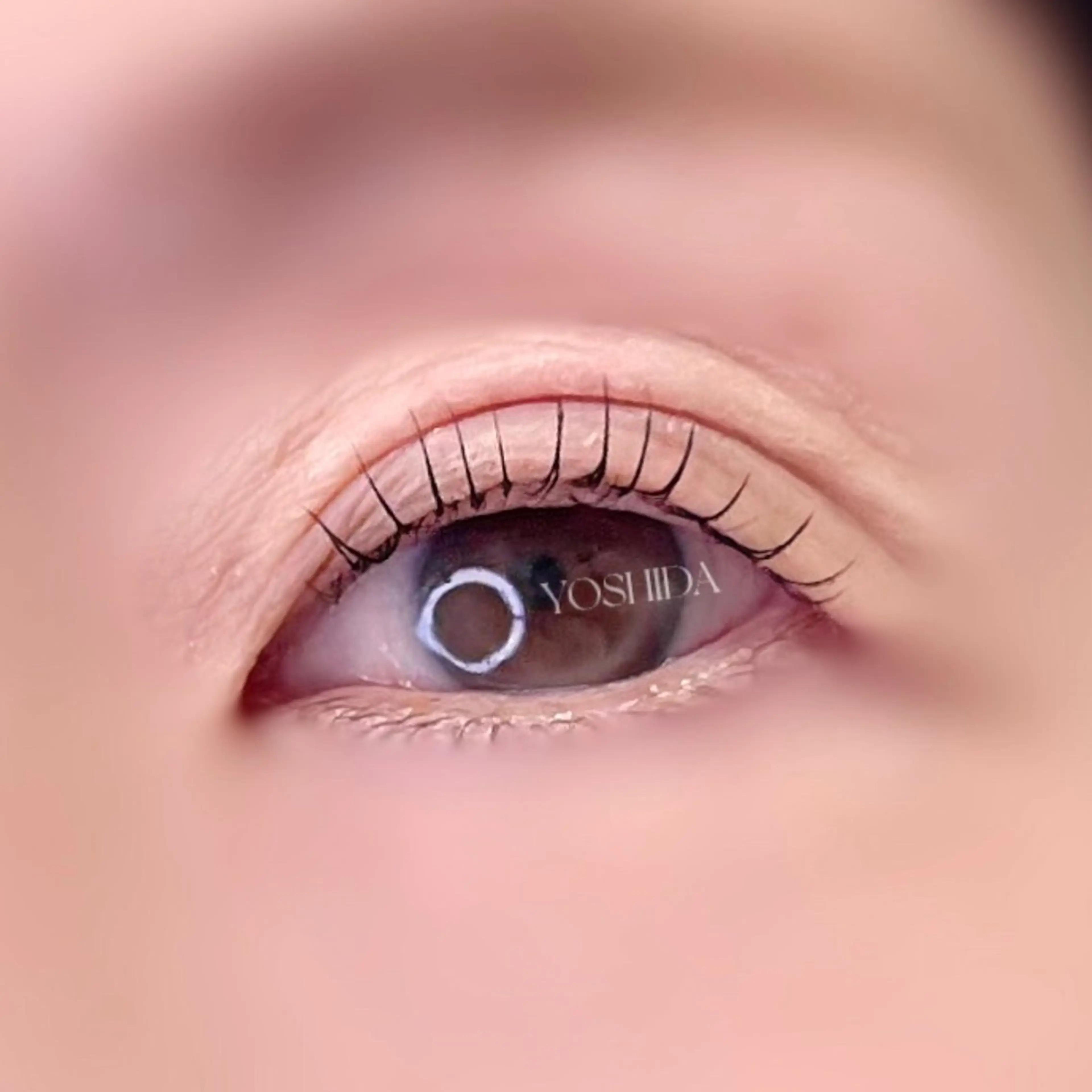 マツエク・マツパ マツパ 【一重┊︎奥二重】 YOSHIDA🌙の眉毛・アイブロウイメージ