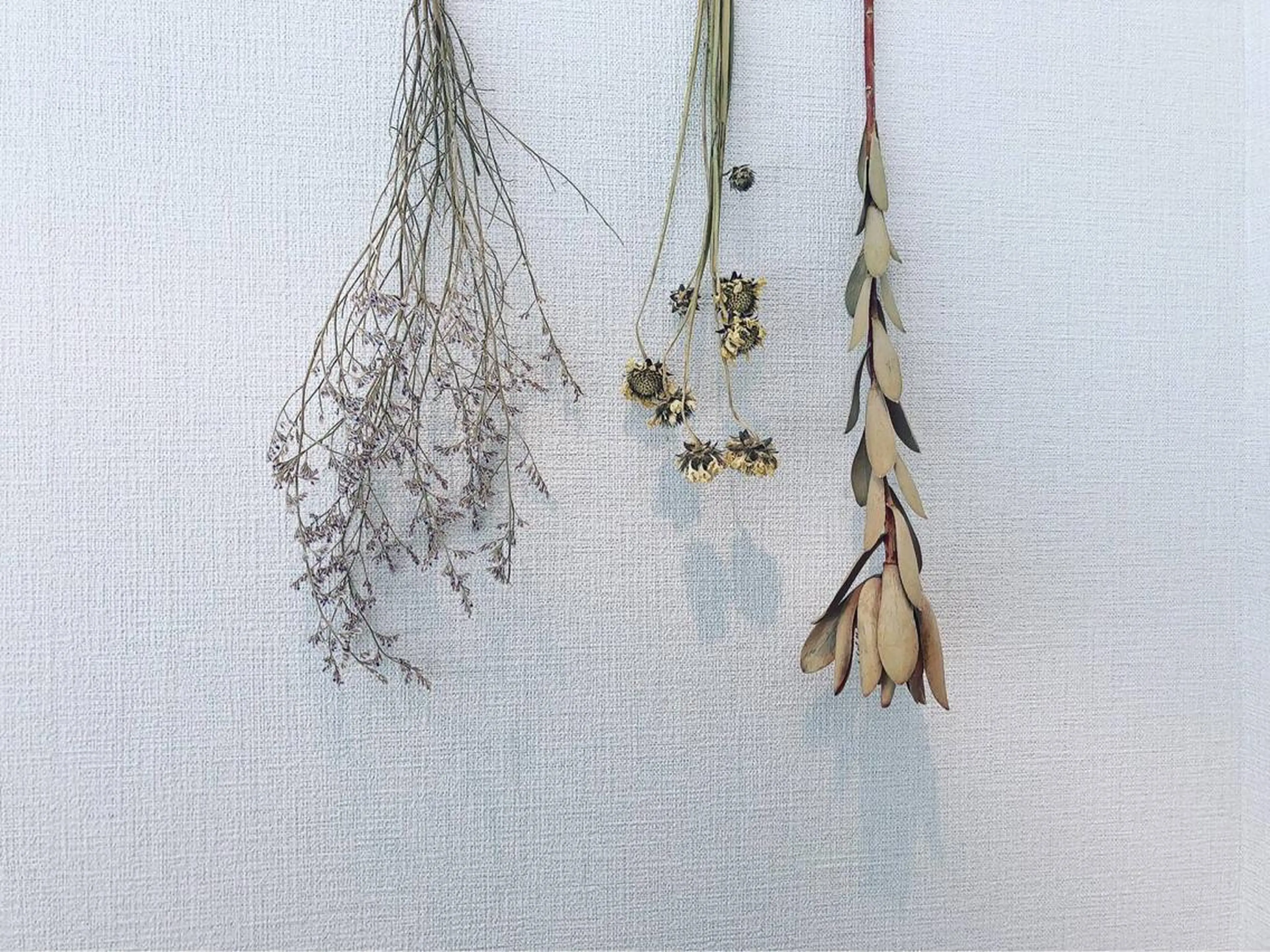 ネイル chatran ネイリストのネイルデザイン