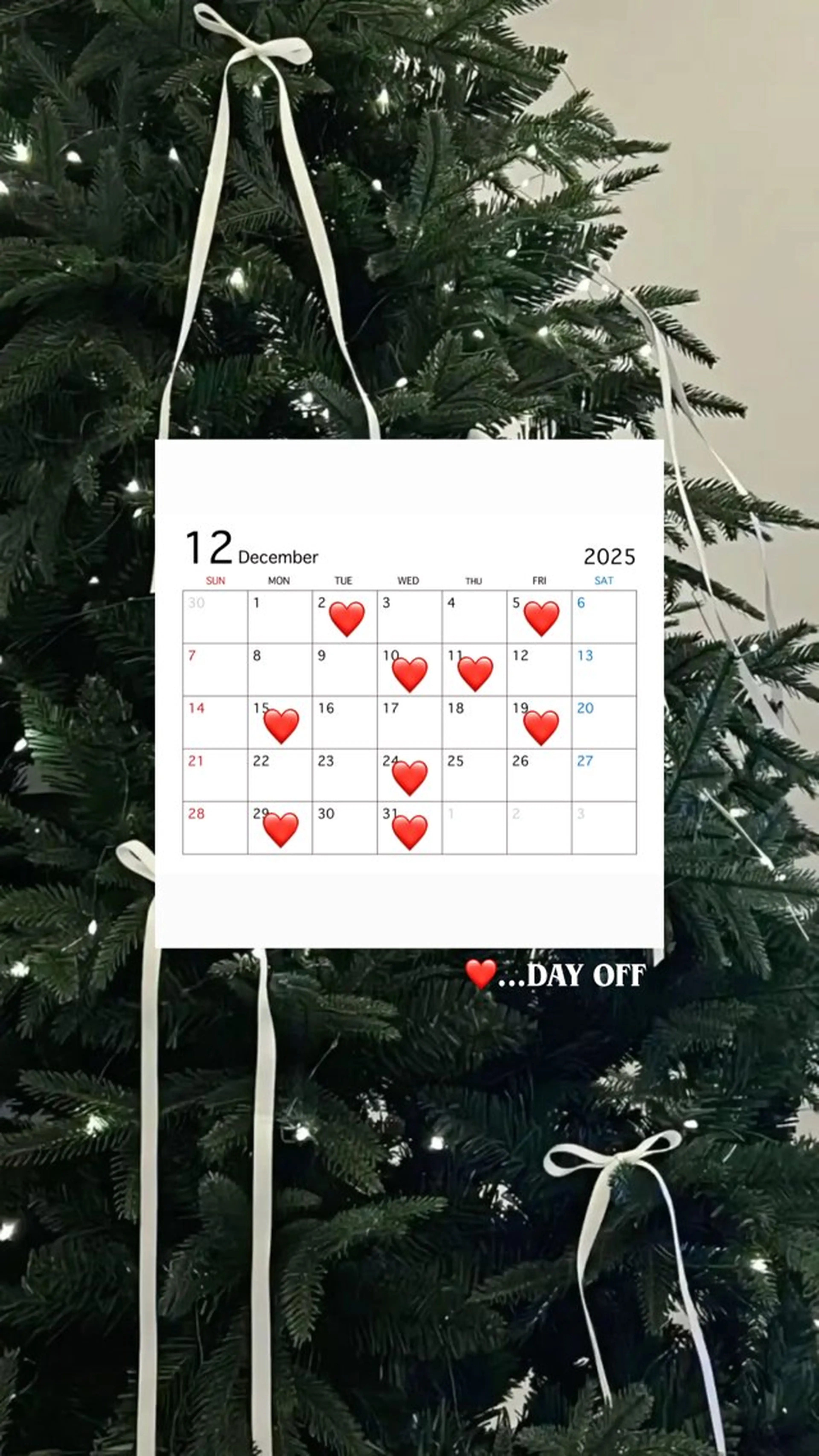 カラー 🫧オオノ サアヤ🫧のヘアスタイル