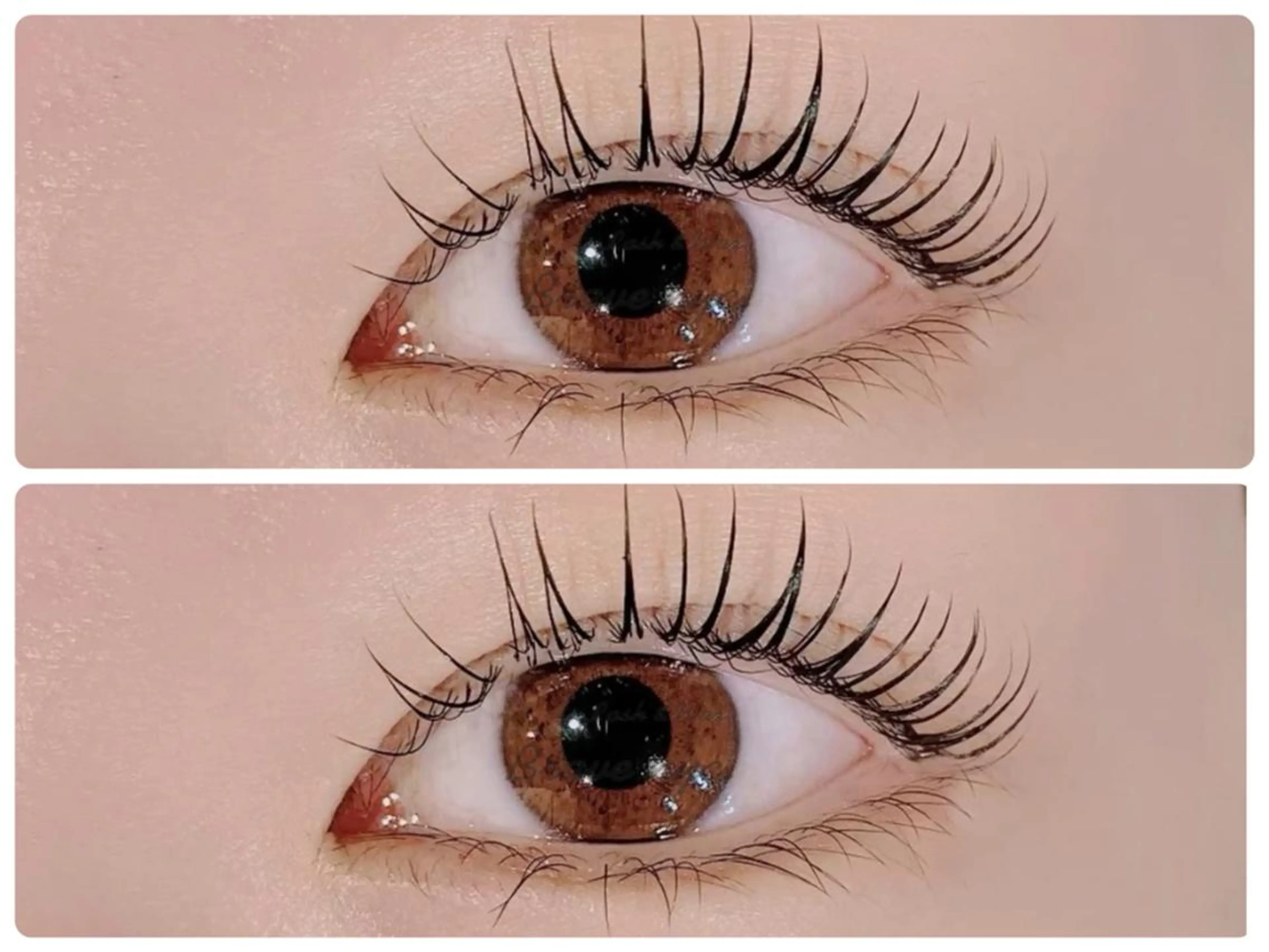 新規【贅沢4点】パリジェンヌラッシュリフト 7530円の写真