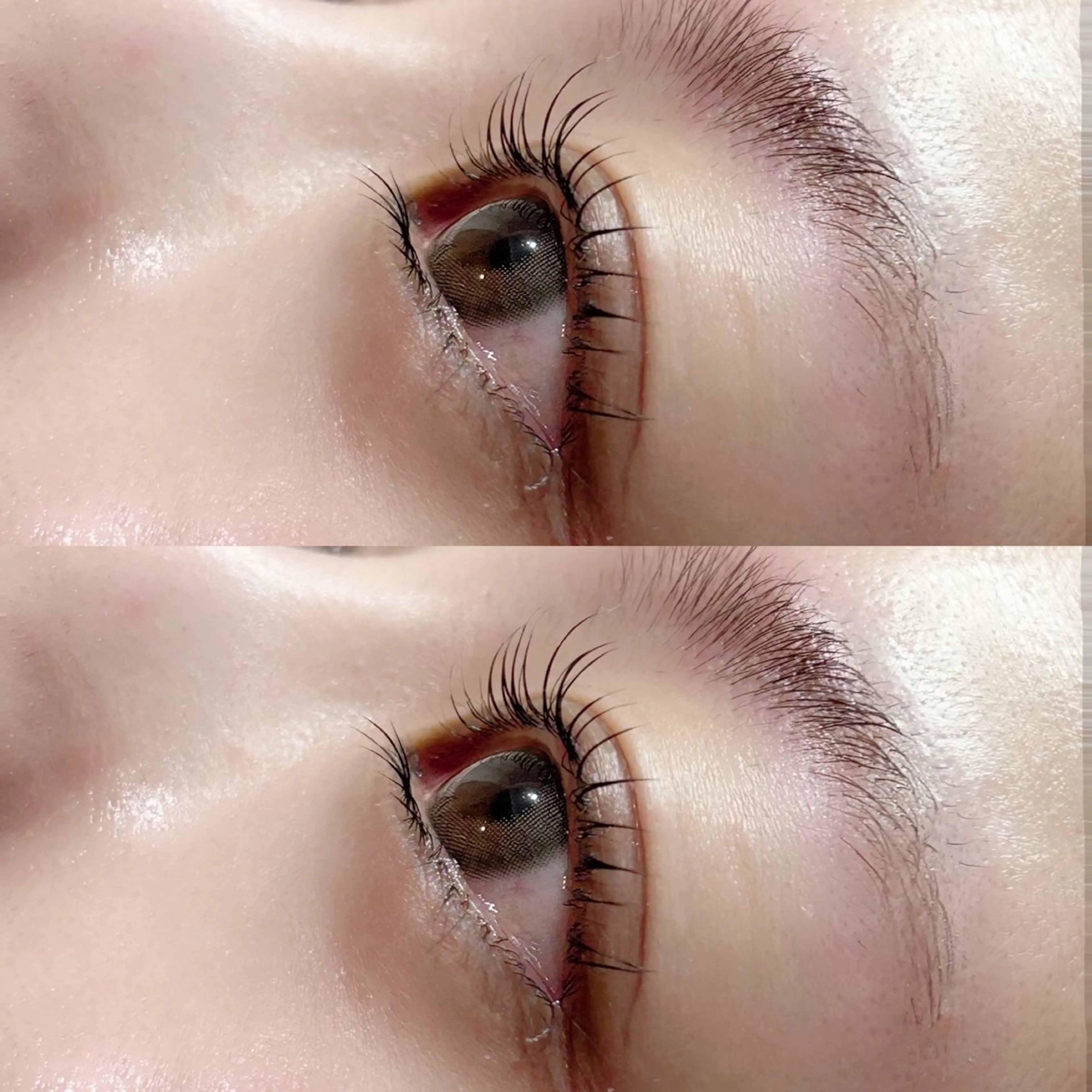 マツエク・マツパ マツパ Frances Miyamotoのマツエク・マツパデザイン