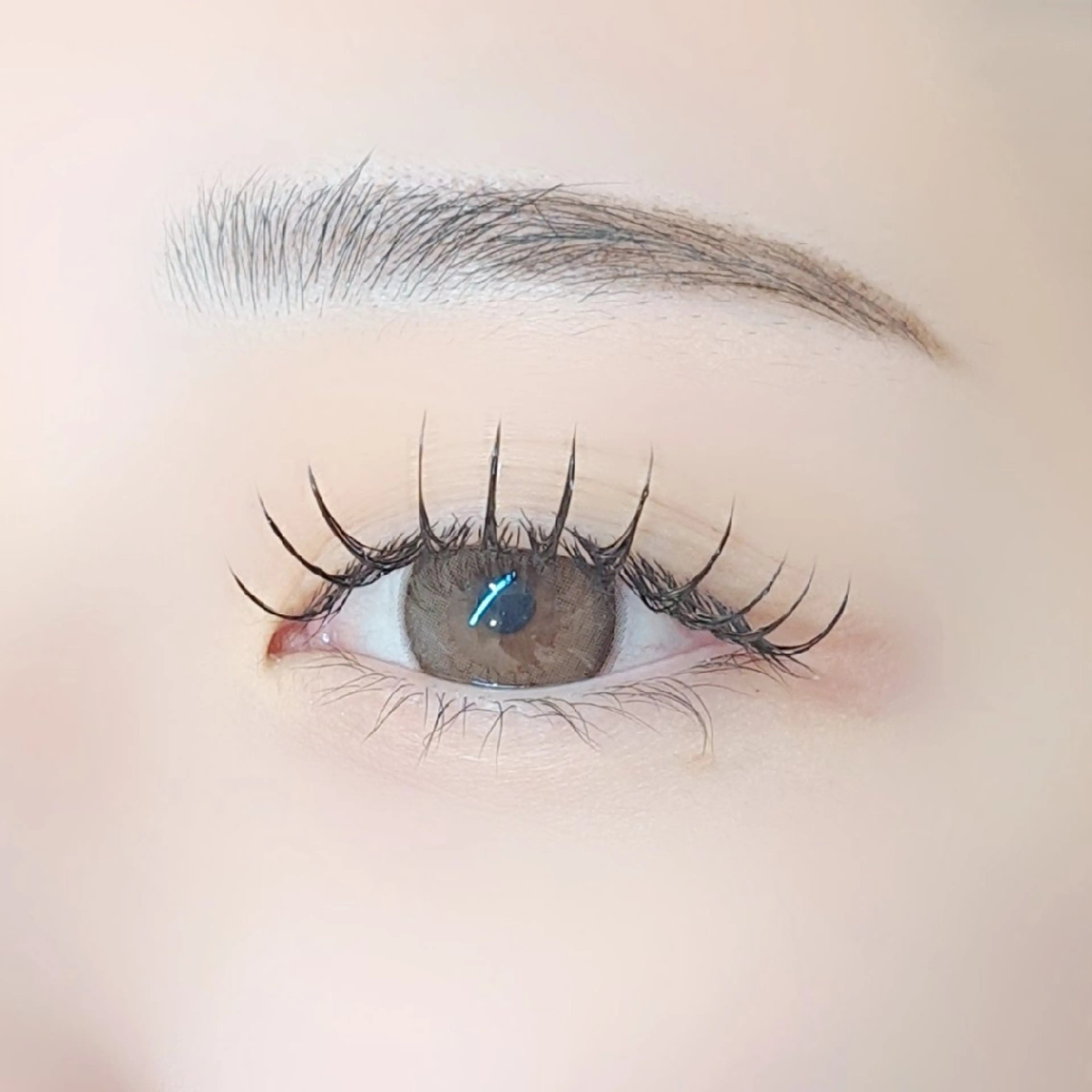 マツエク・マツパ CCカール Cカール マツエク 小林 さくら子のマツエク・マツパデザイン