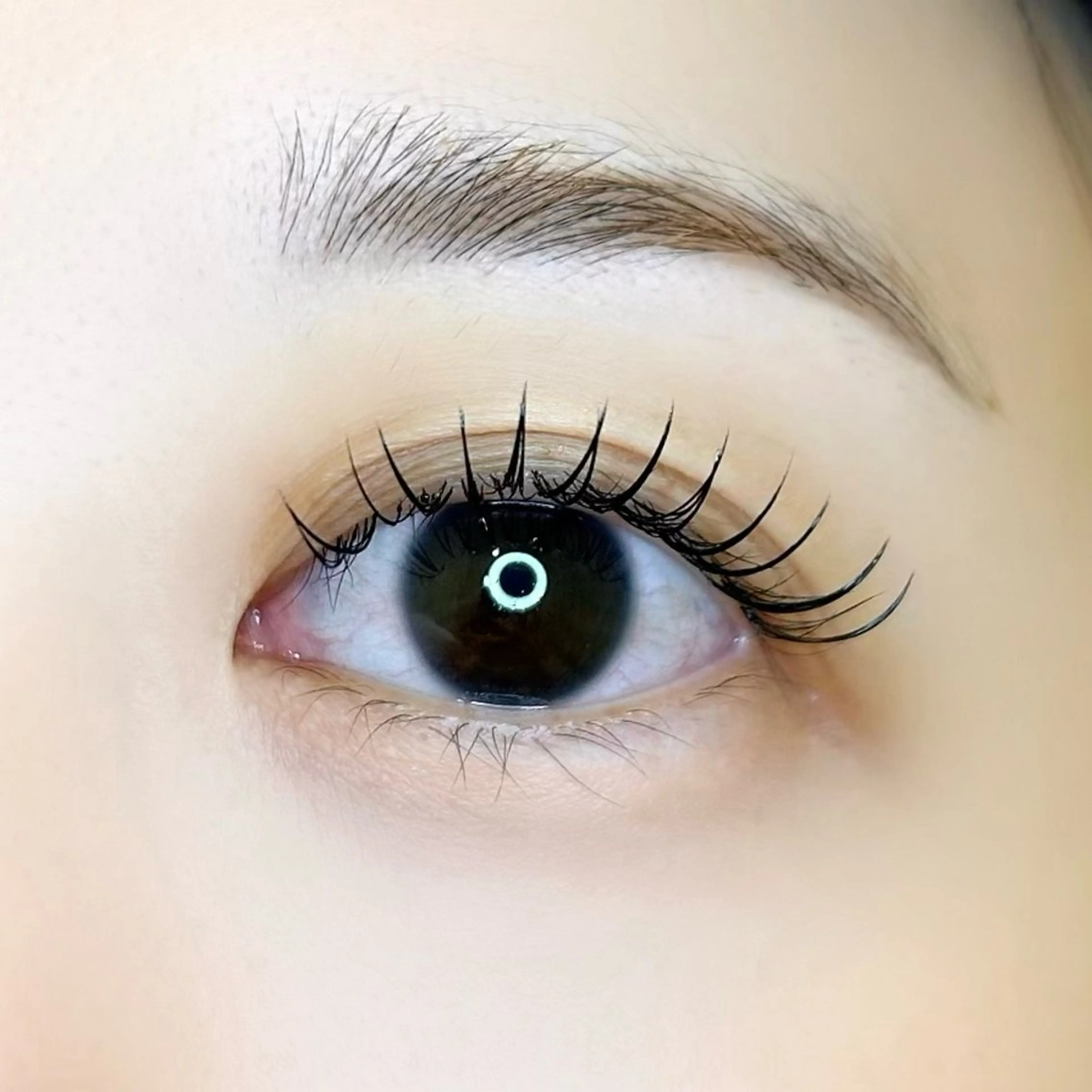 マツエク・マツパ 目尻長め マツエク しみず はるか🌷のその他イメージ