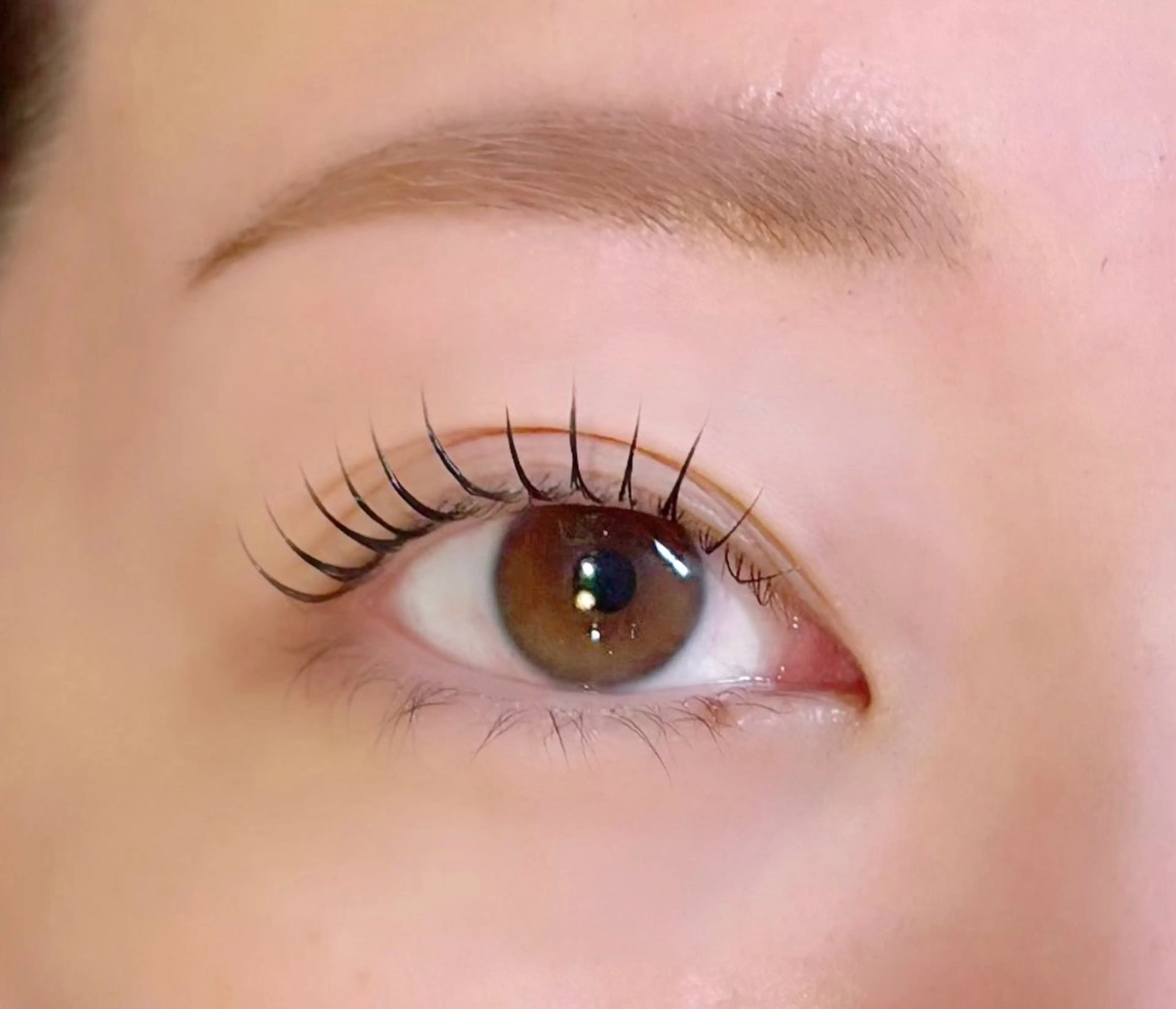 ワンホン風エクステと眉WAXセット🤍お目元完璧プラン🎀の写真