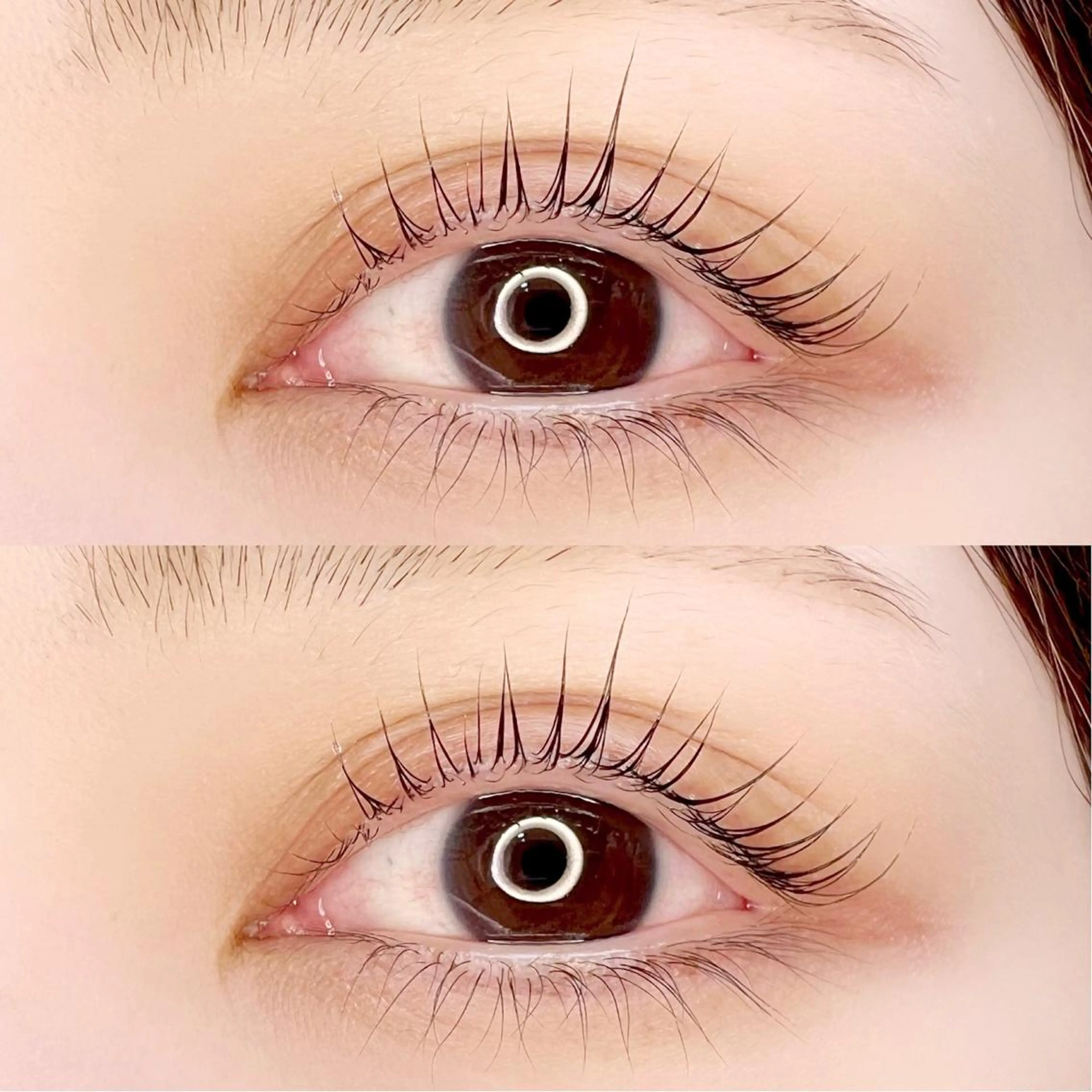 マツエク・マツパ Madonna Lilyのマツエク・マツパデザイン