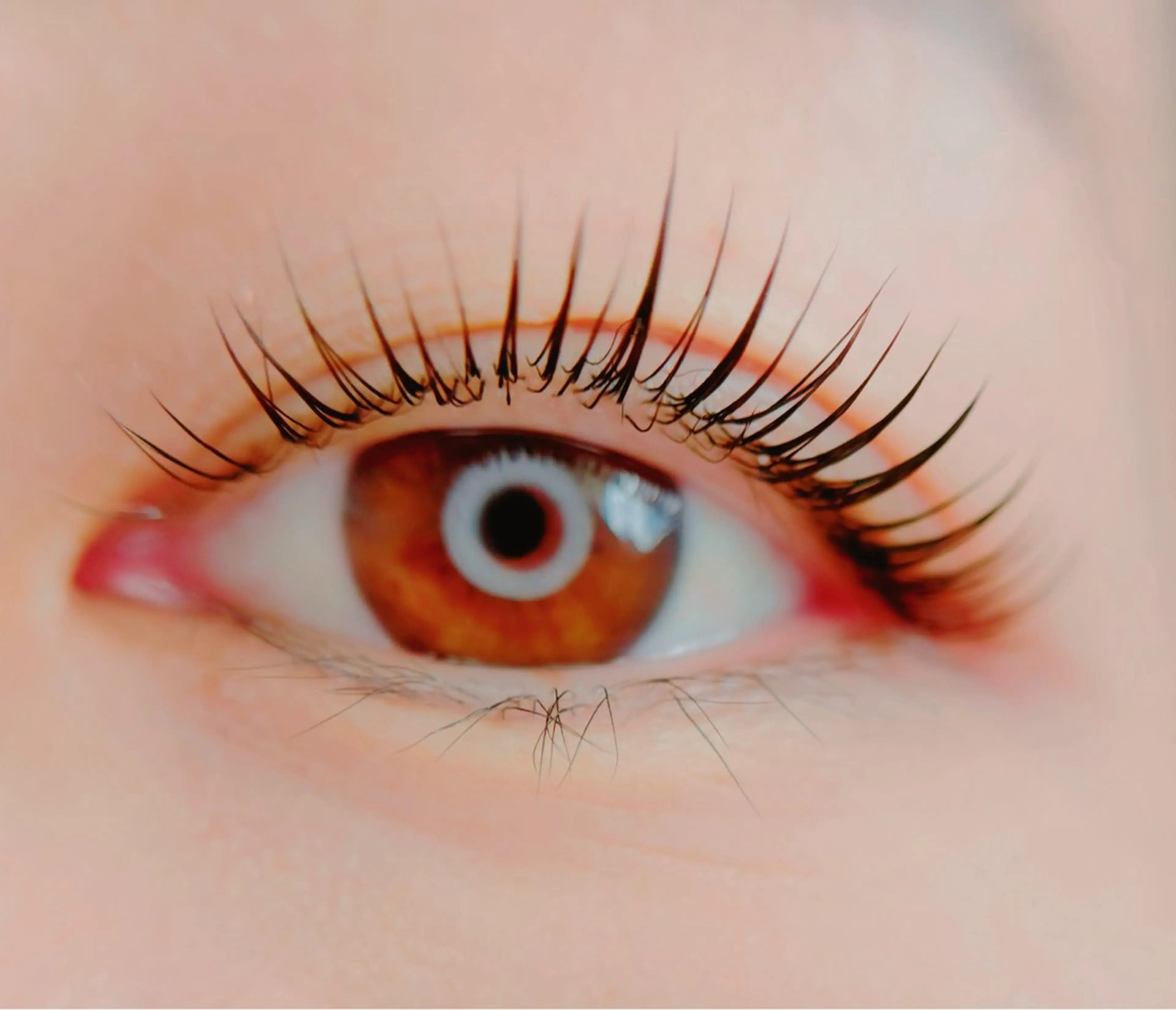 【ご新規様・選べるまつ毛パーマ】ラッシュリフト上のみ¥6600→¥5300の写真