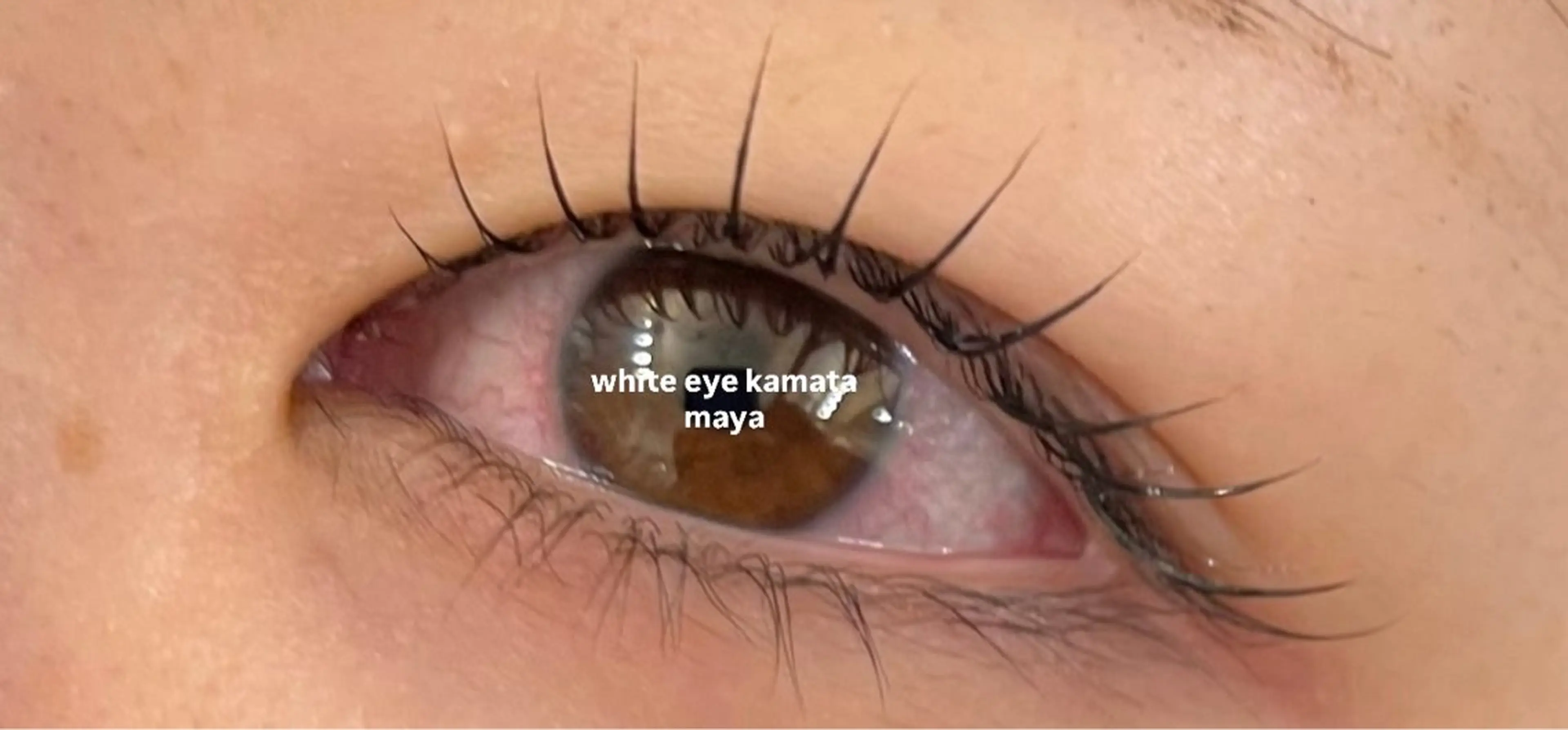 マツエク・マツパ マツパ ホワイトアイ蒲田店所属・maya kのマツエク・マツパデザイン