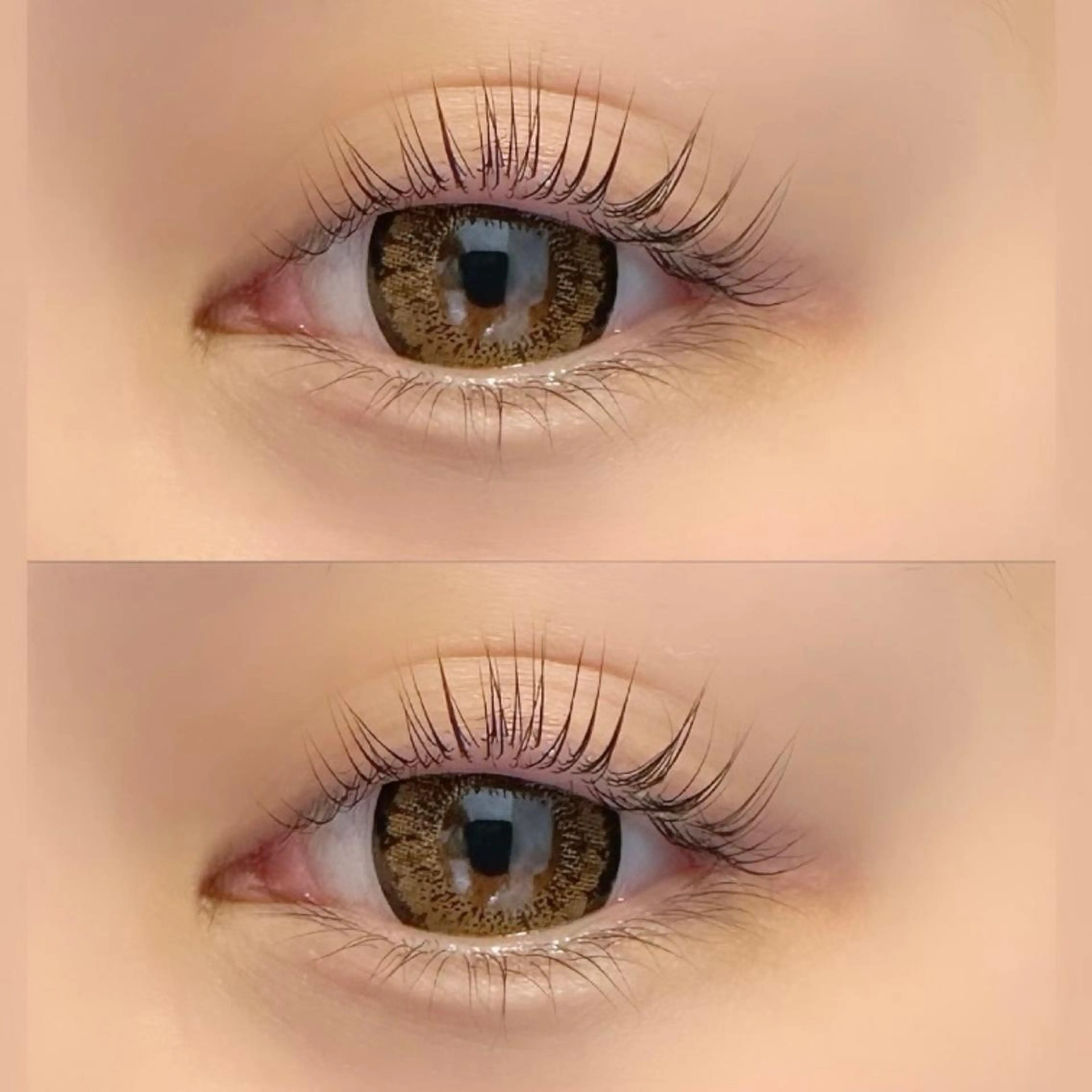 今月限定価格♡人気のパリジェンヌorまつげパーマ🩵(コーティング＆ブラックティント無料)の写真