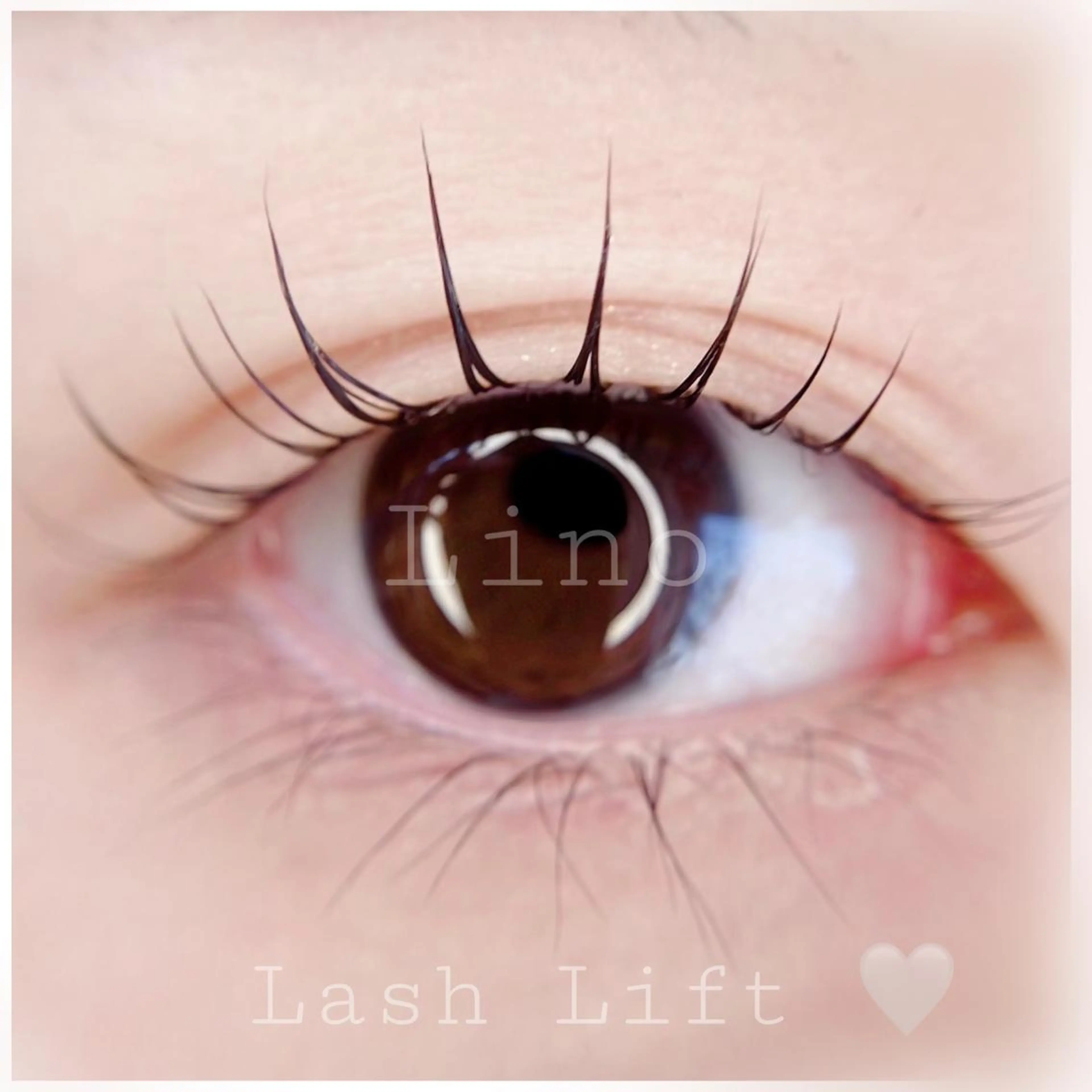 ラッシュ リフト 𓈒◌の写真