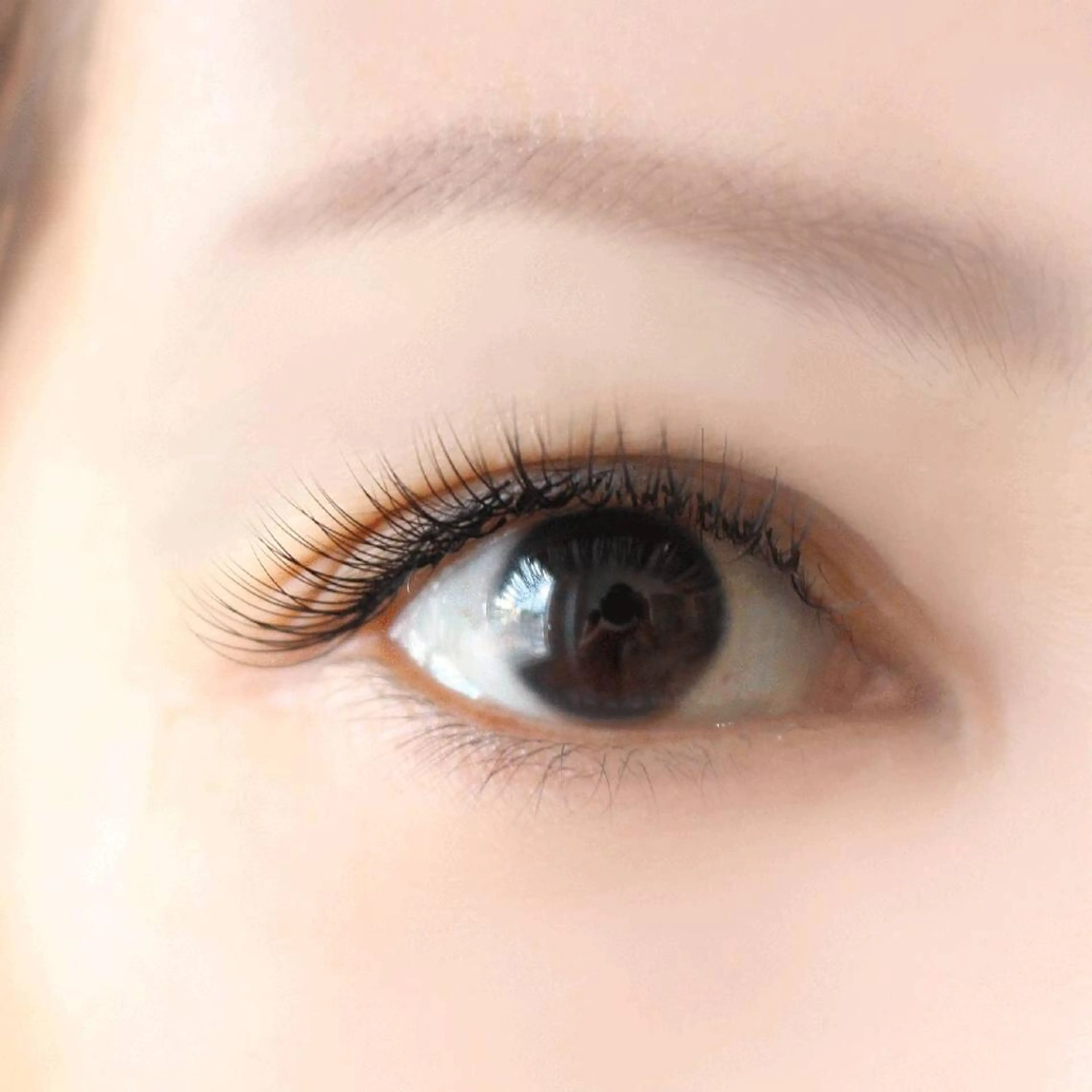 ★1/16★11時30分~14時~限定オフ＋30分　まつ毛エクステ100本練習　\6600→\0の写真