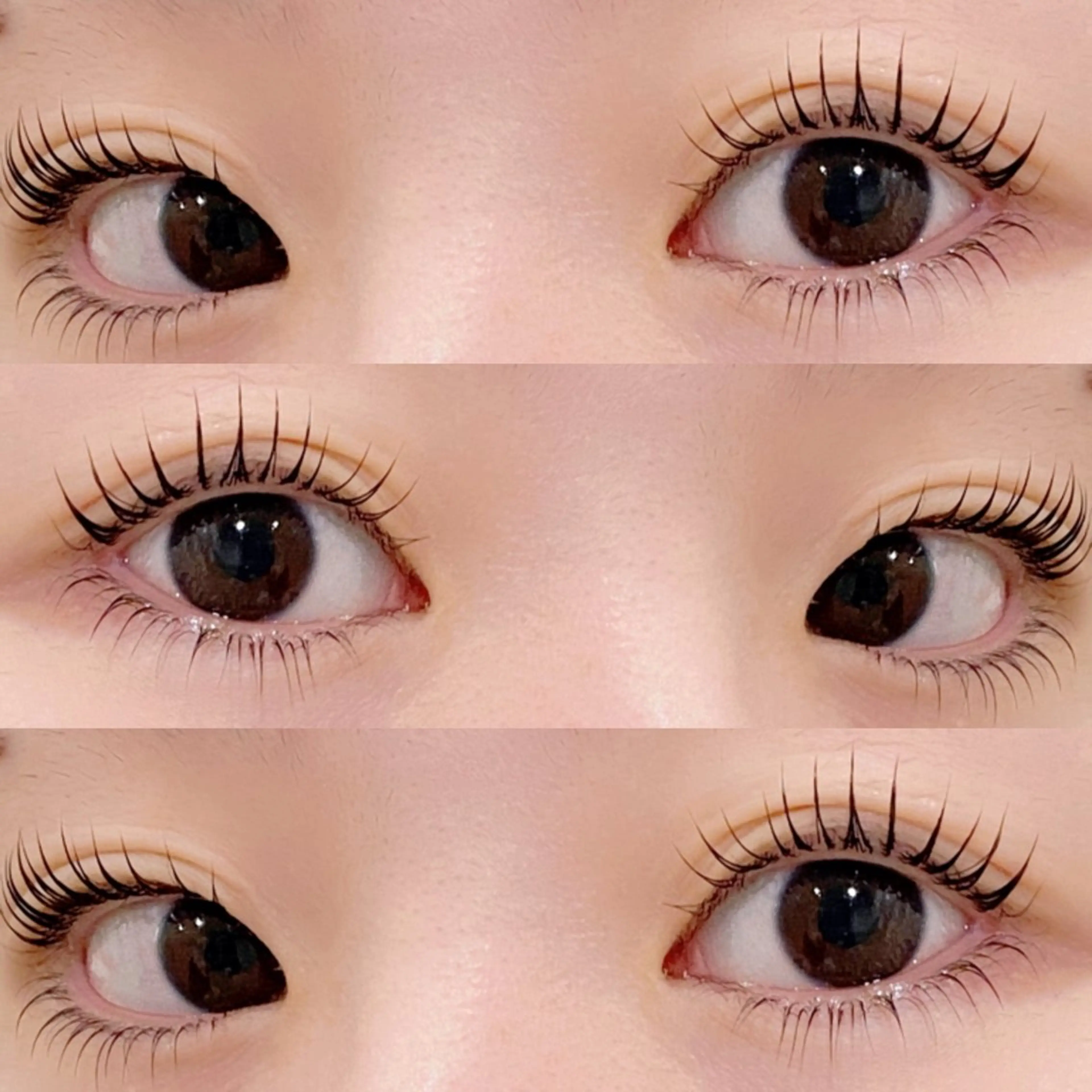 マツエク・マツパ 下まつげエクステ 一重×まつ毛パーマ シマグチ 🌷 jolie名駅のマツエク・マツパデザイン