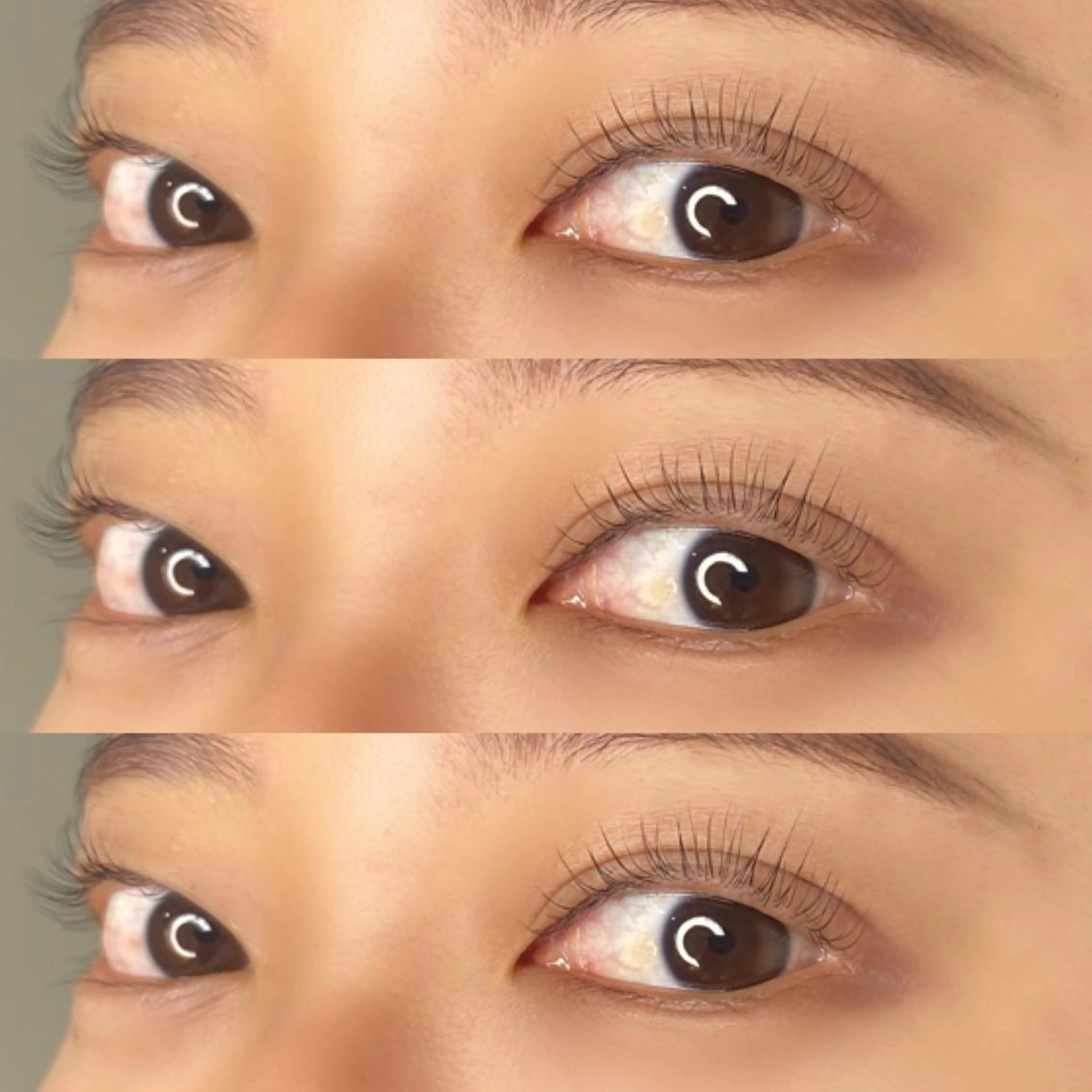 マツエク・マツパ パリジェンヌラッシュリフト マツパ 【LILY】伊沢/ バインド/パリ/エクのマツエク・マツパデザイン