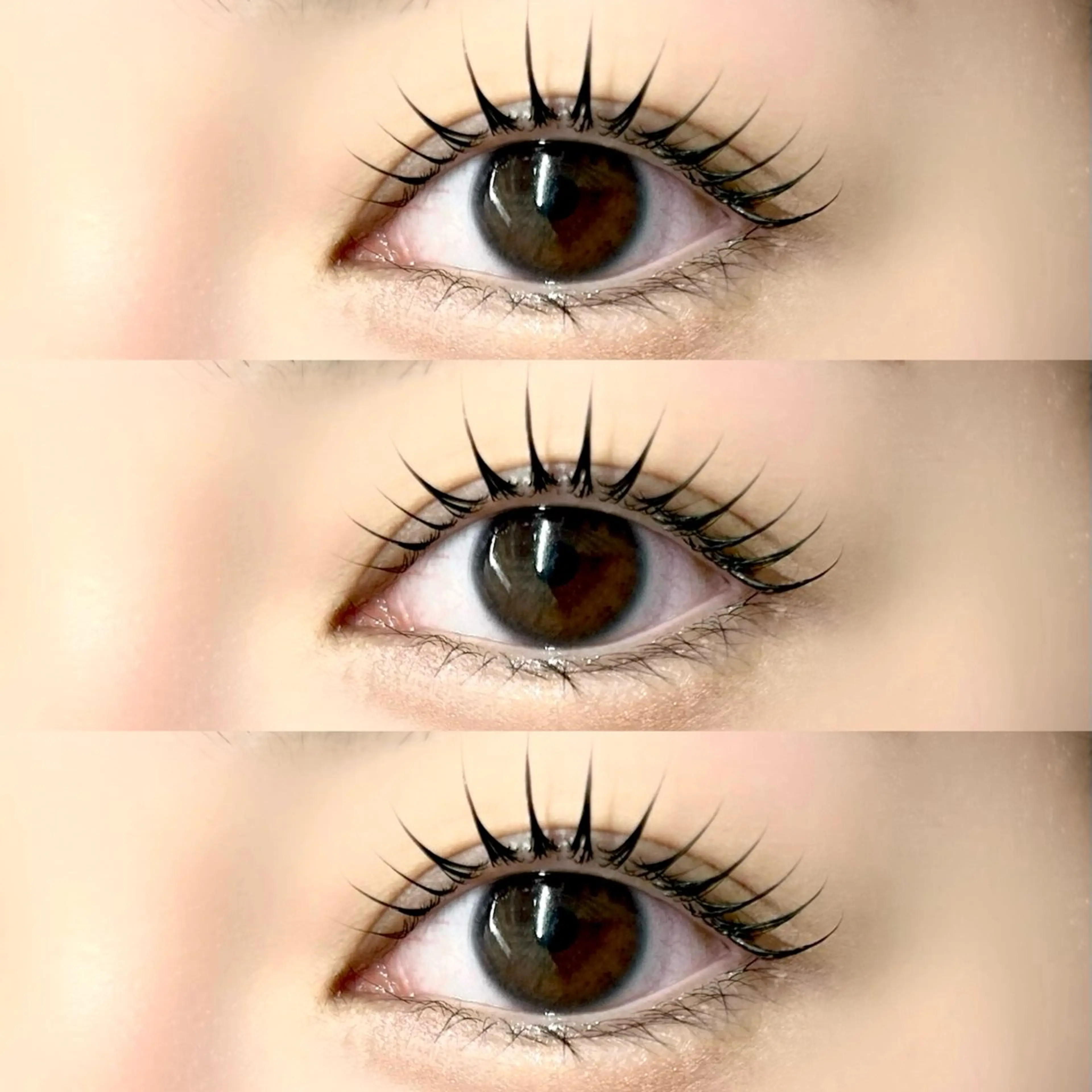 〖次回予約限定〗\🩵上下セットパリジェンヌラッシュリフト🩵/の写真