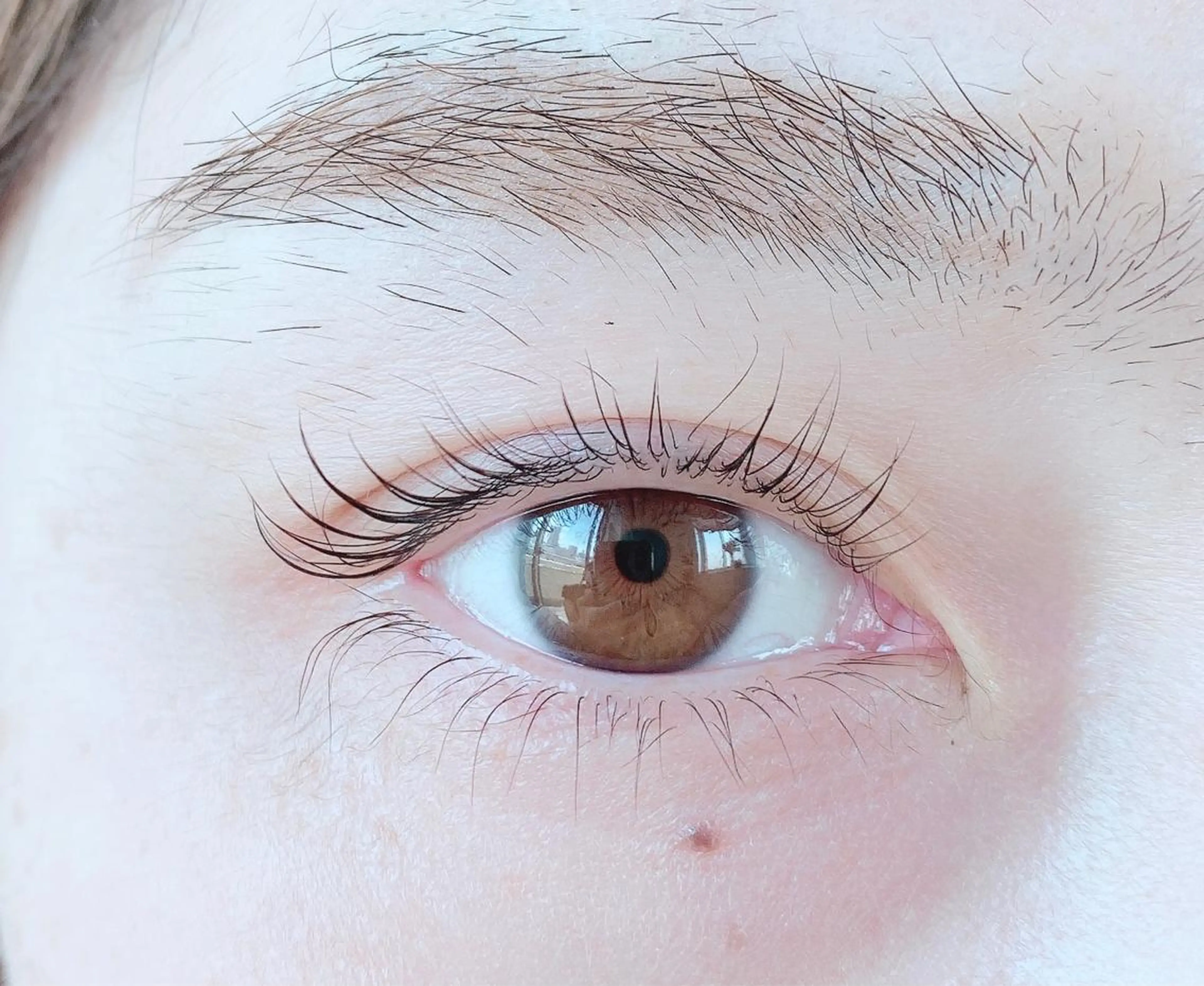 マツエク・マツパ パリジェンヌラッシュリフト マツパ ecru.eye 【元住吉】のマツエク・マツパデザイン