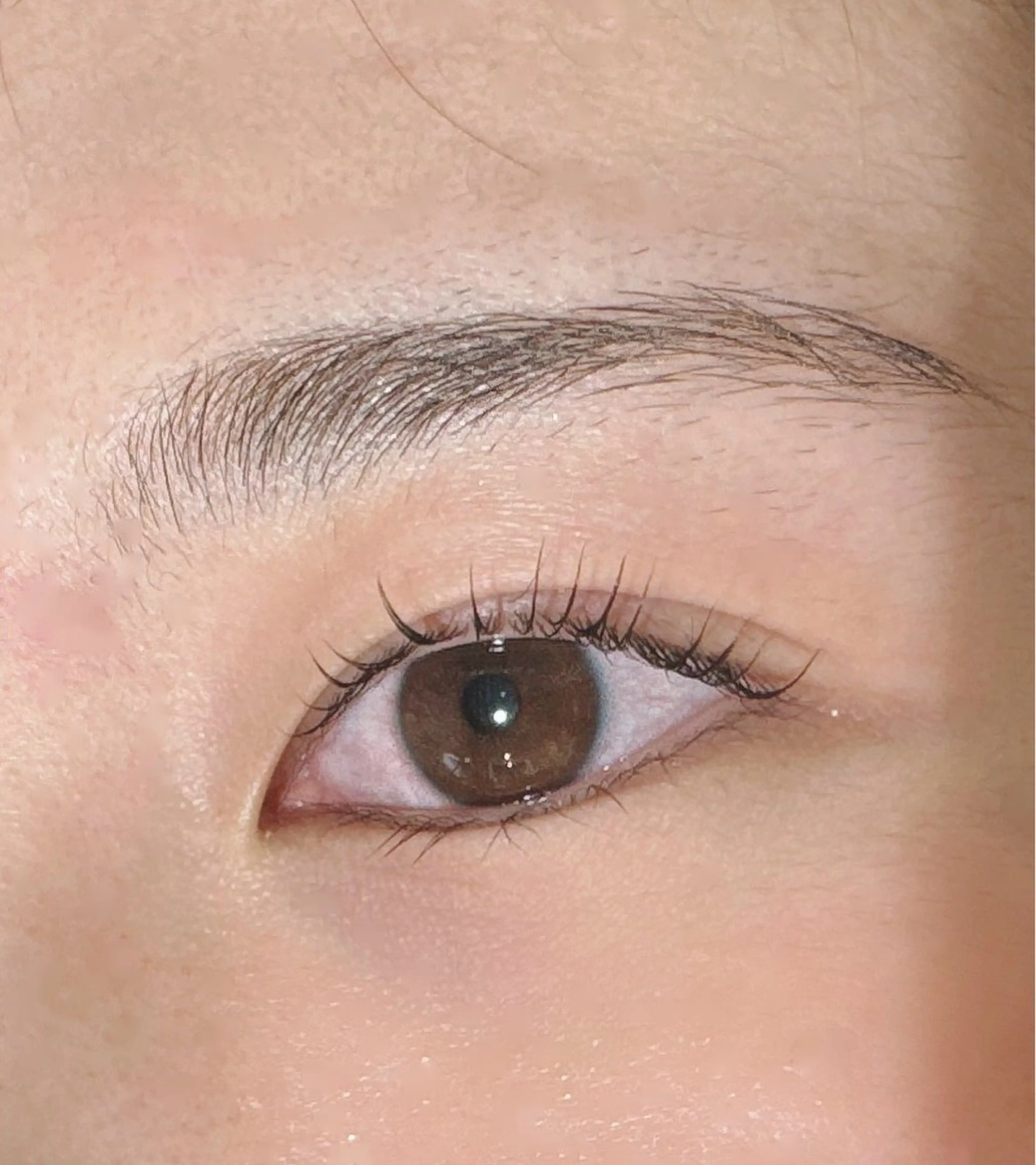 マツエク・マツパ 眉カット その他(アイブロウ) merc. ♡ 櫻武加奈子のマツエク・マツパデザイン