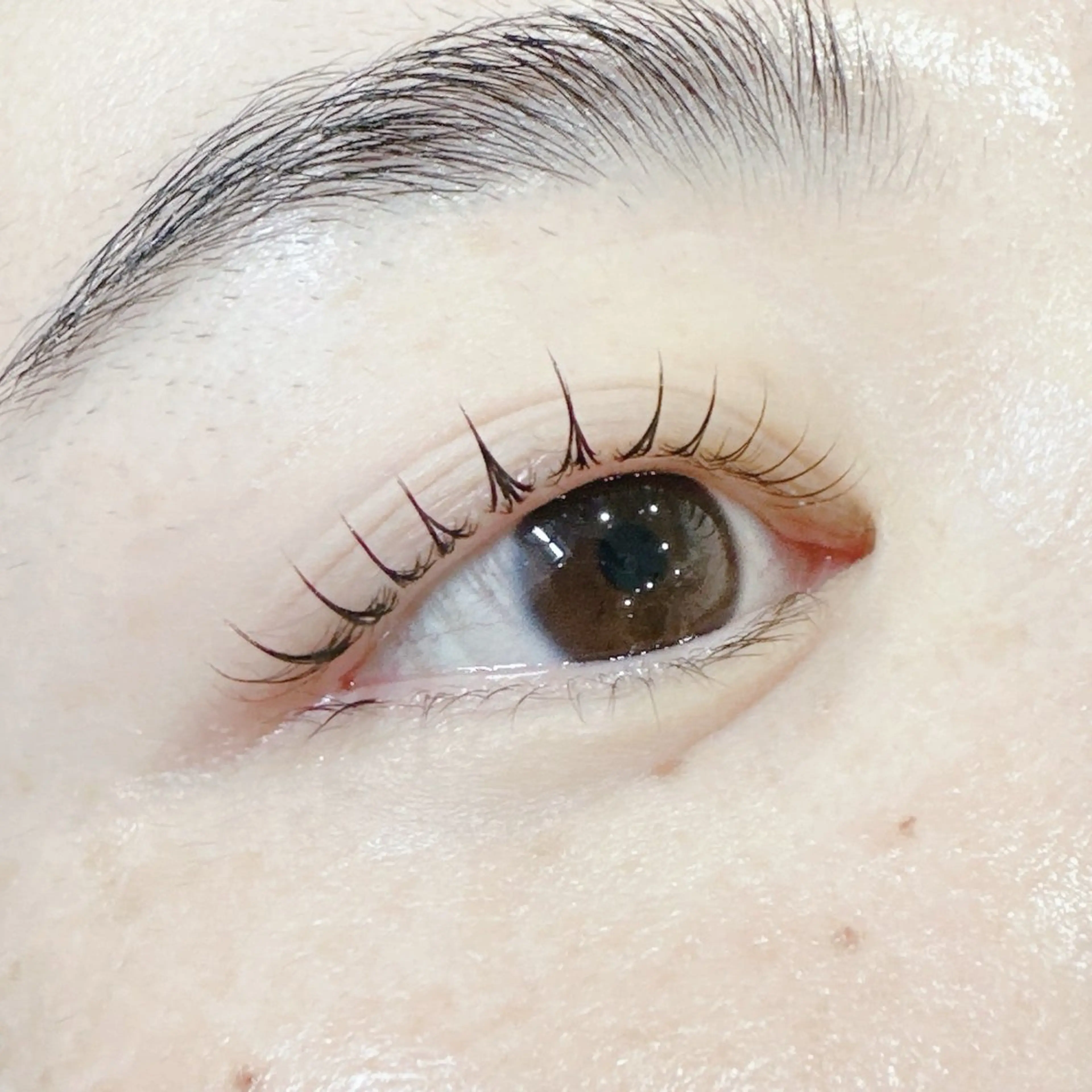 マツエク・マツパ PROGRESS 龍ヶ崎 小泉🦋のマツエク・マツパデザイン