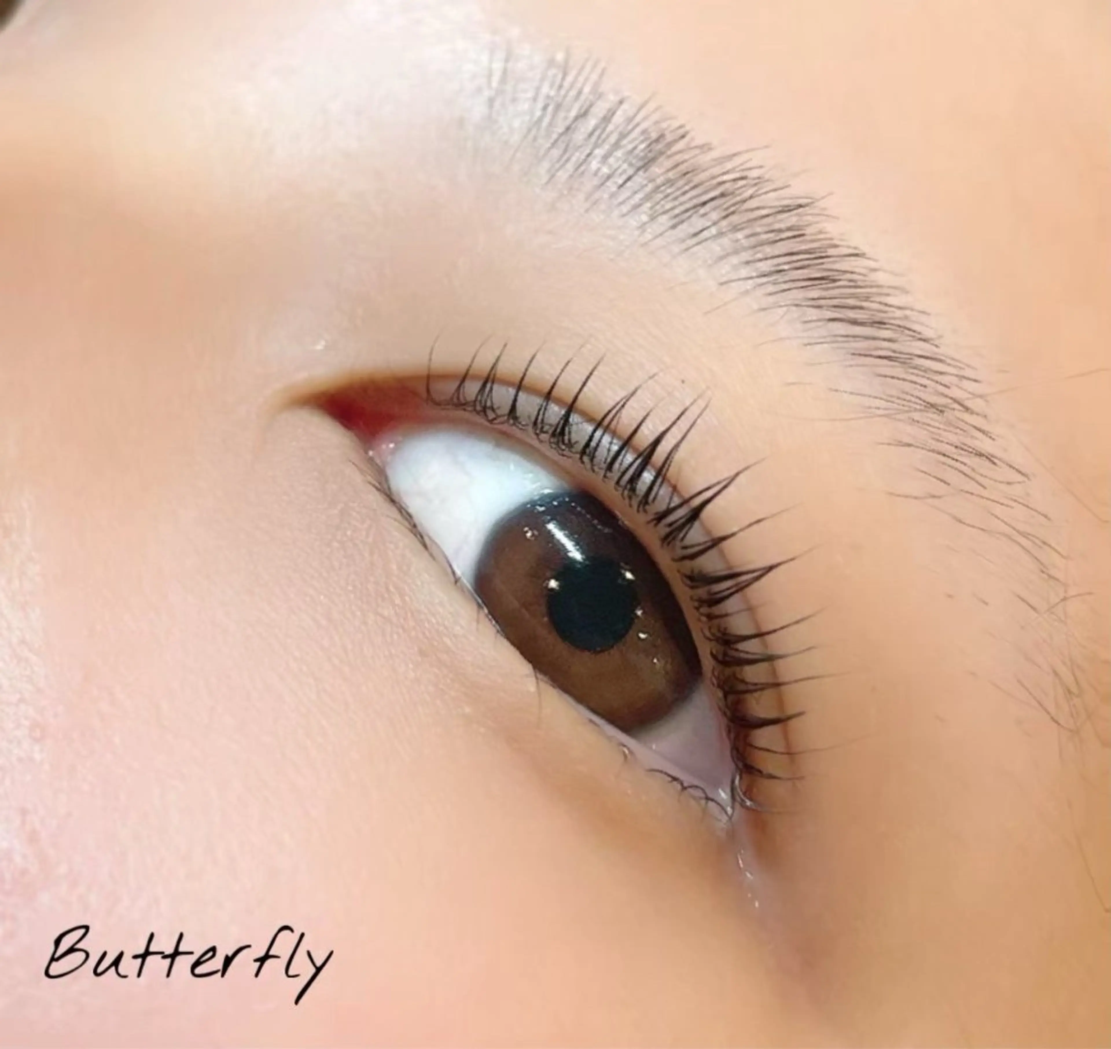 マツエク・マツパ Butterfly 平塚　鈴木のマツエク・マツパデザイン