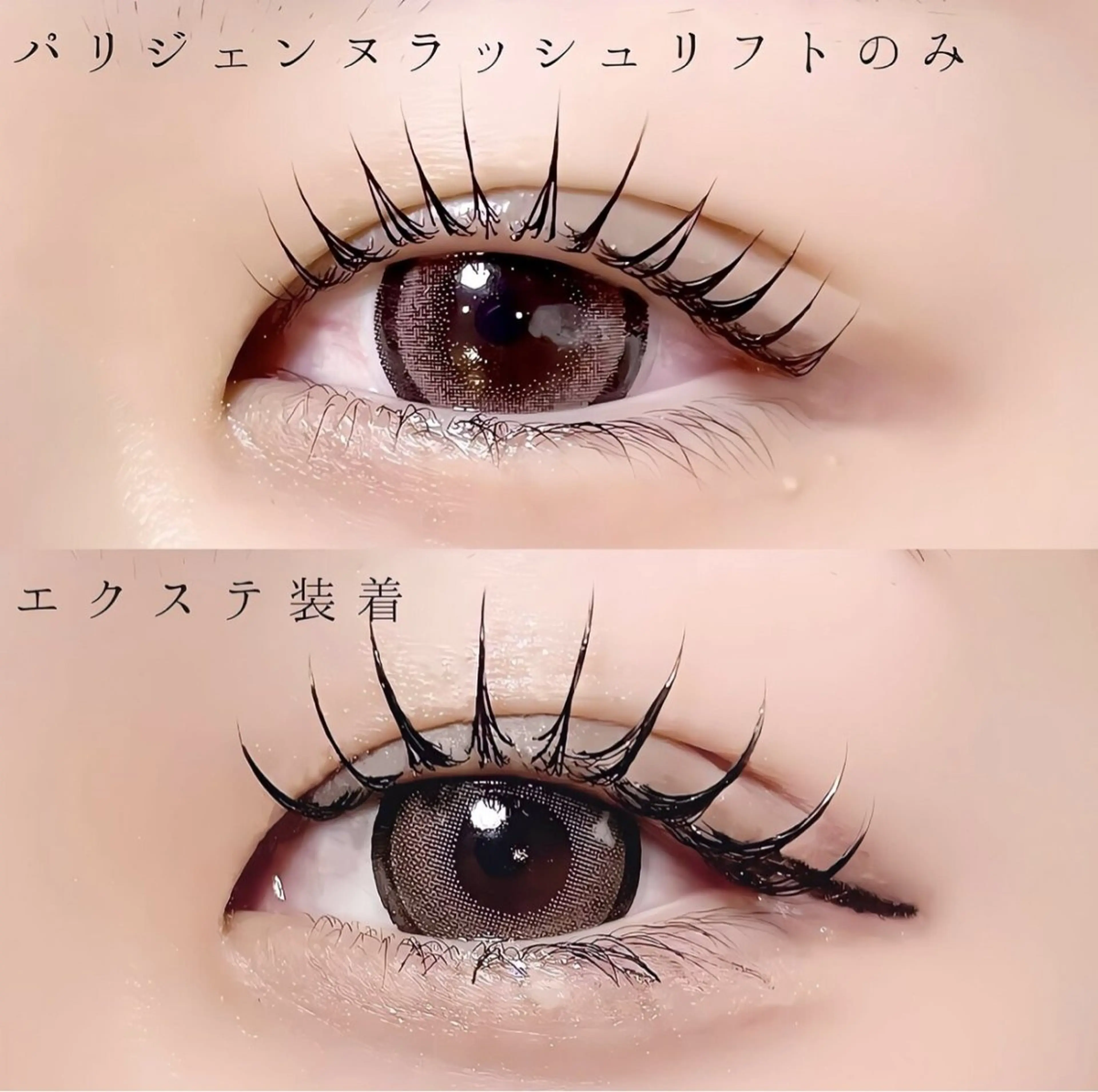 マツエク・マツパ meguru／マツパ ／マツエク／束感のマツエク・マツパデザイン